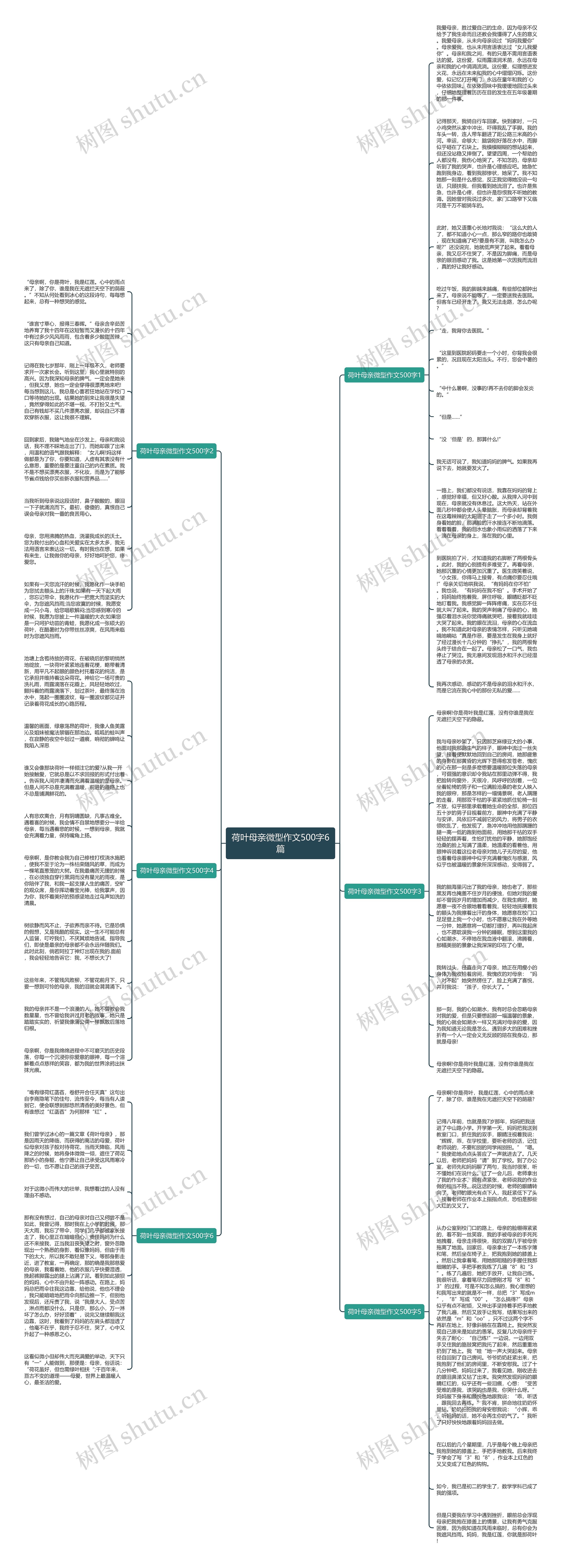 荷叶母亲微型作文500字6篇思维导图