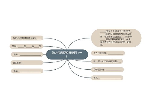 法人代表授权书范例（一）