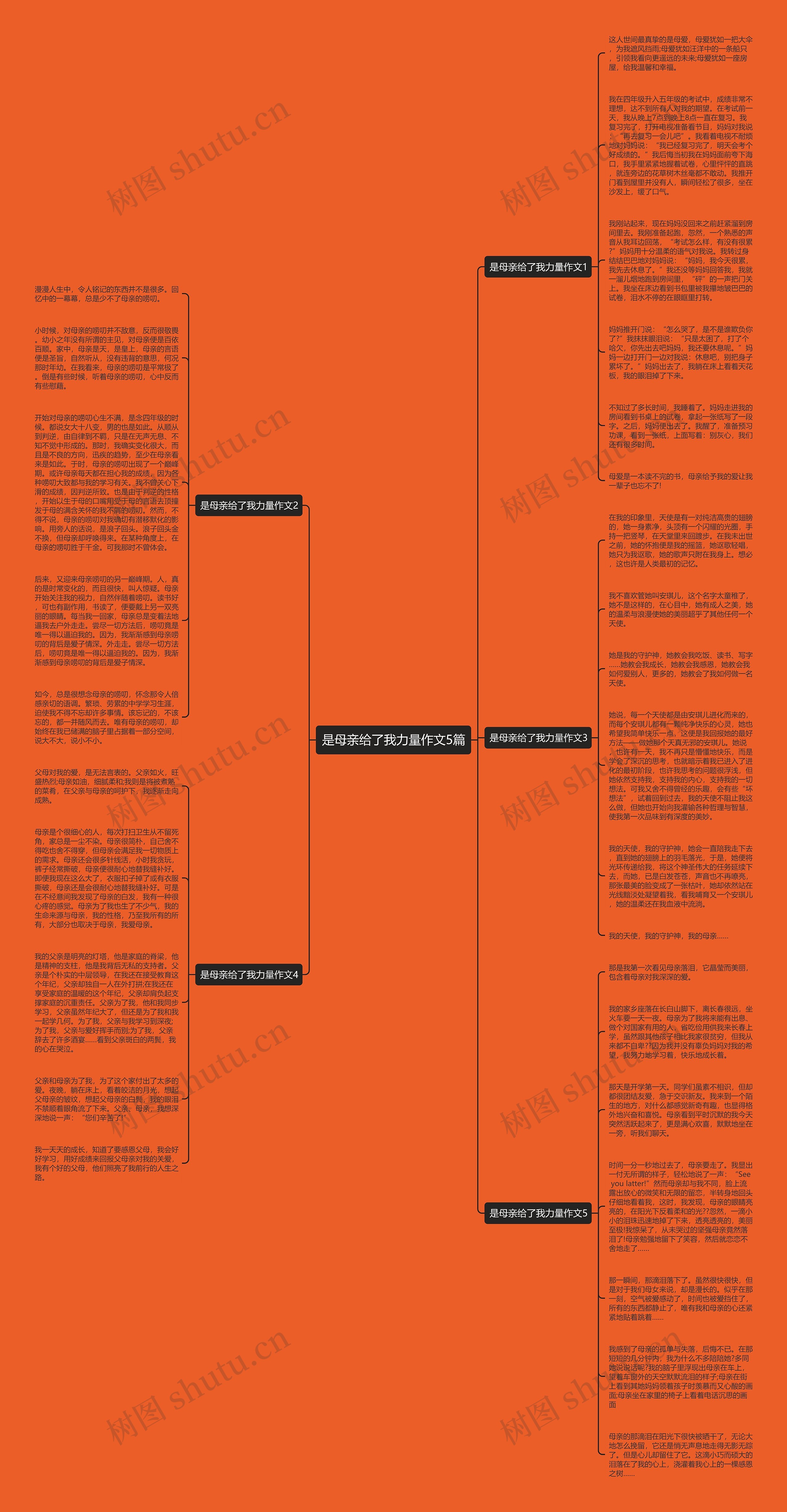 是母亲给了我力量作文5篇思维导图