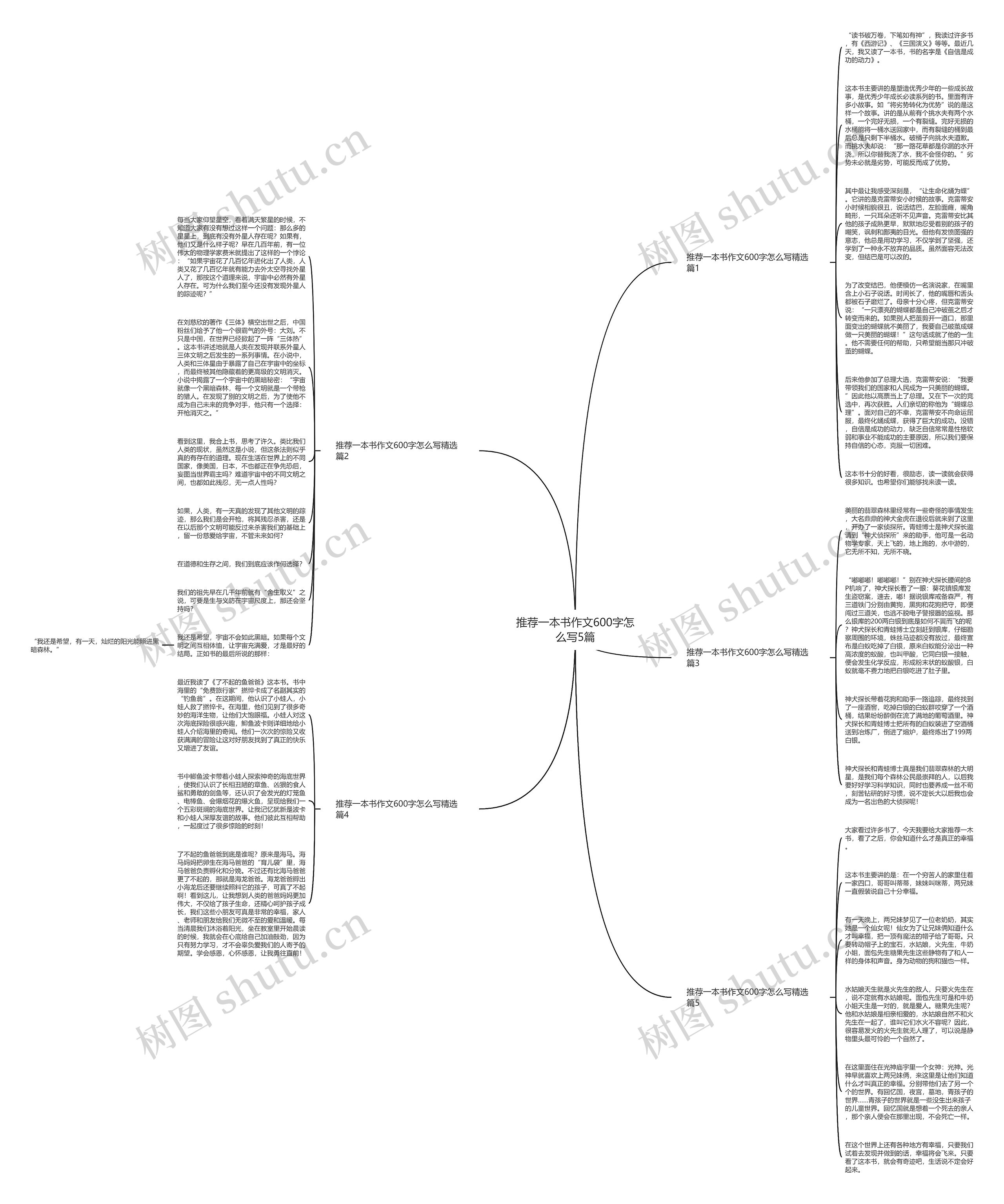 推荐一本书作文600字怎么写5篇思维导图