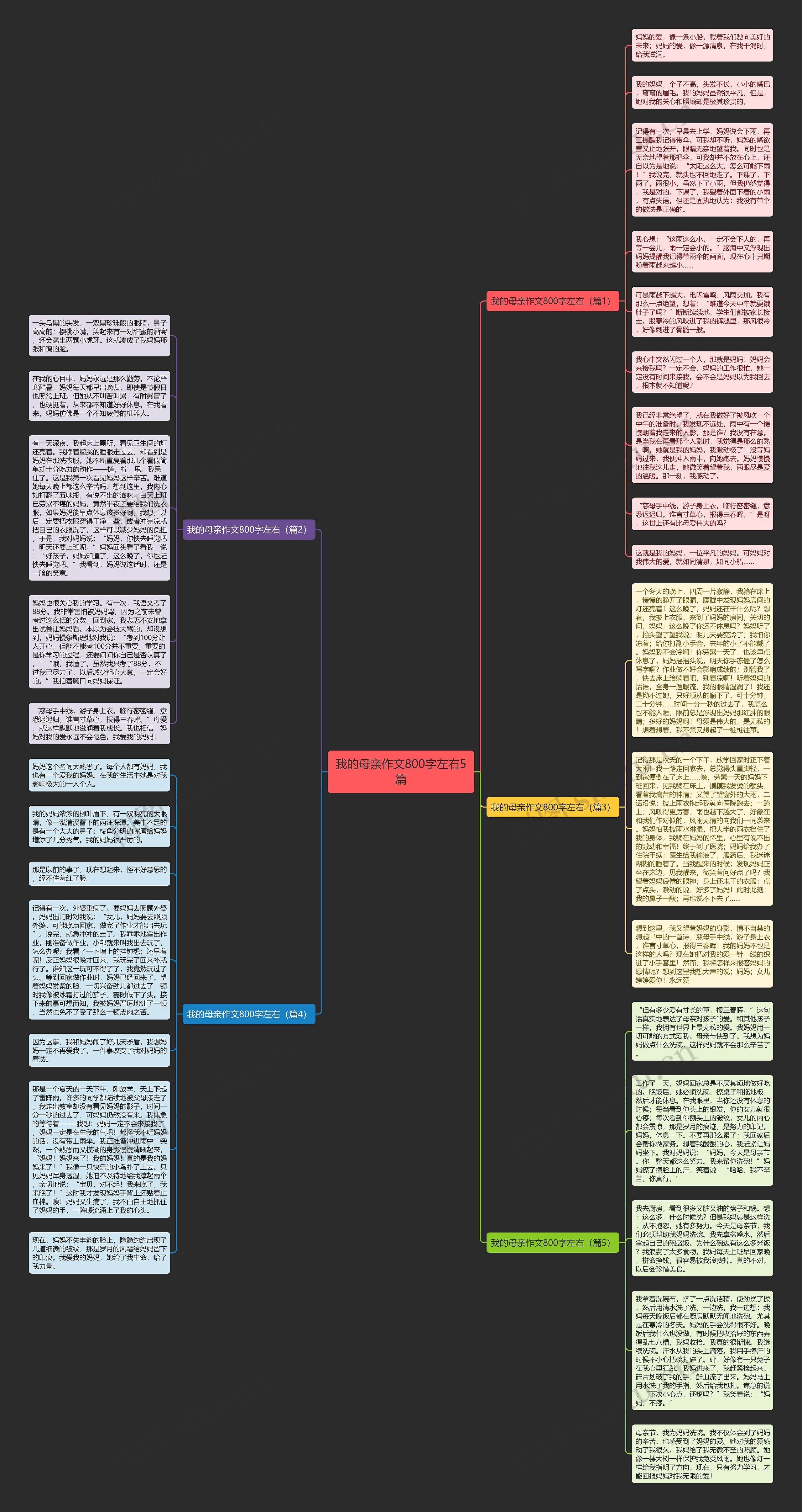 我的母亲作文800字左右5篇思维导图