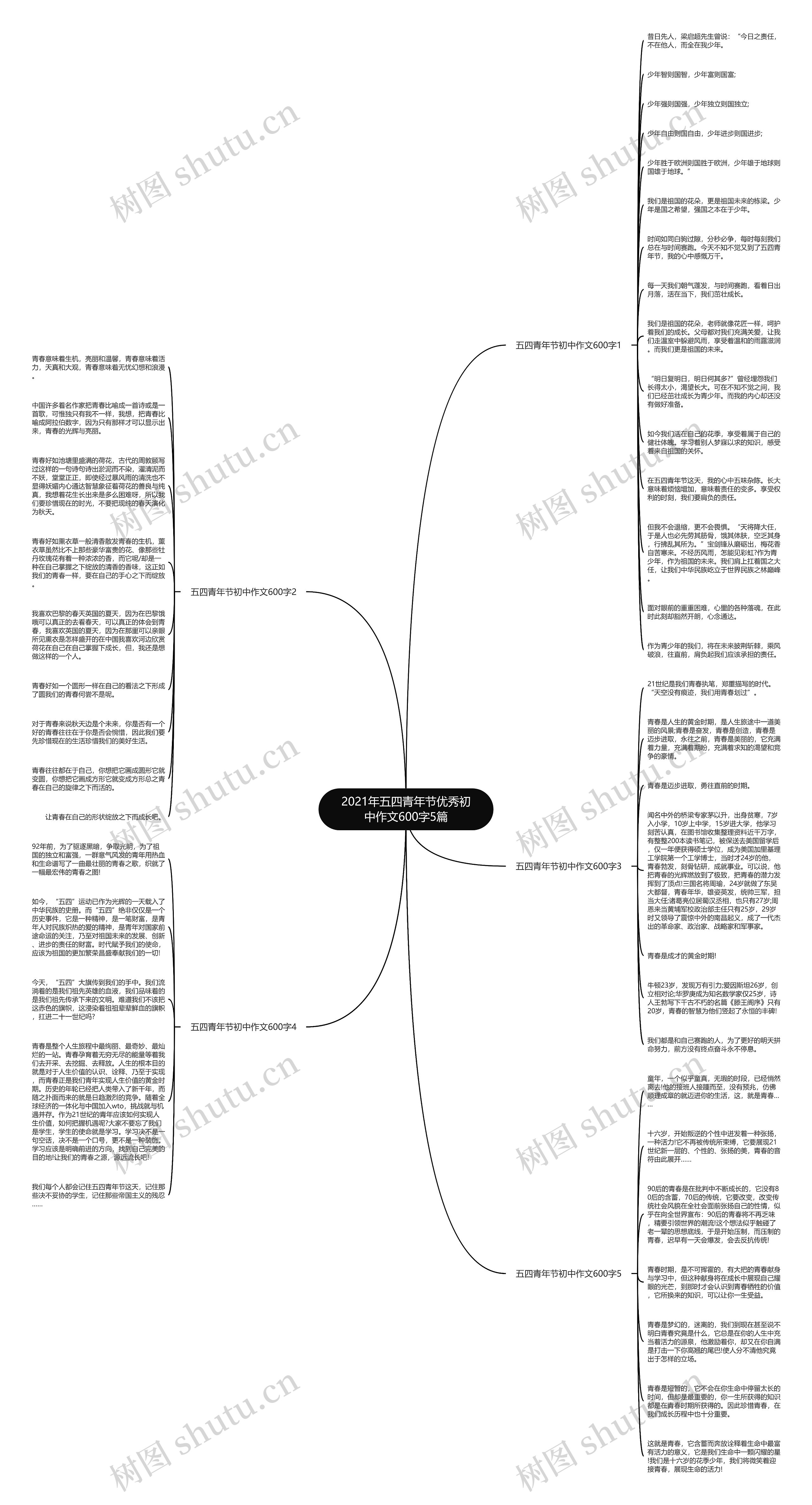 2021年五四青年节优秀初中作文600字5篇思维导图
