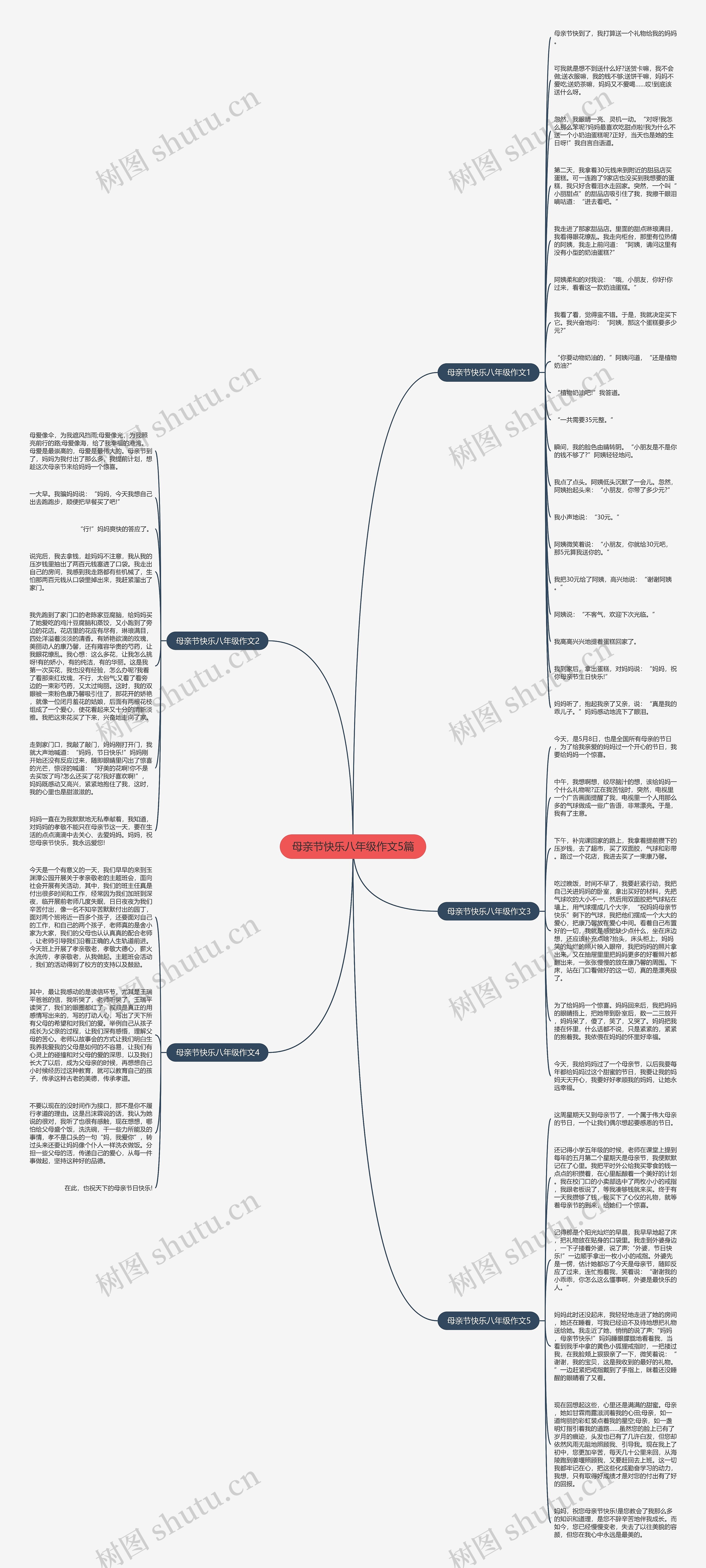 母亲节快乐八年级作文5篇思维导图
