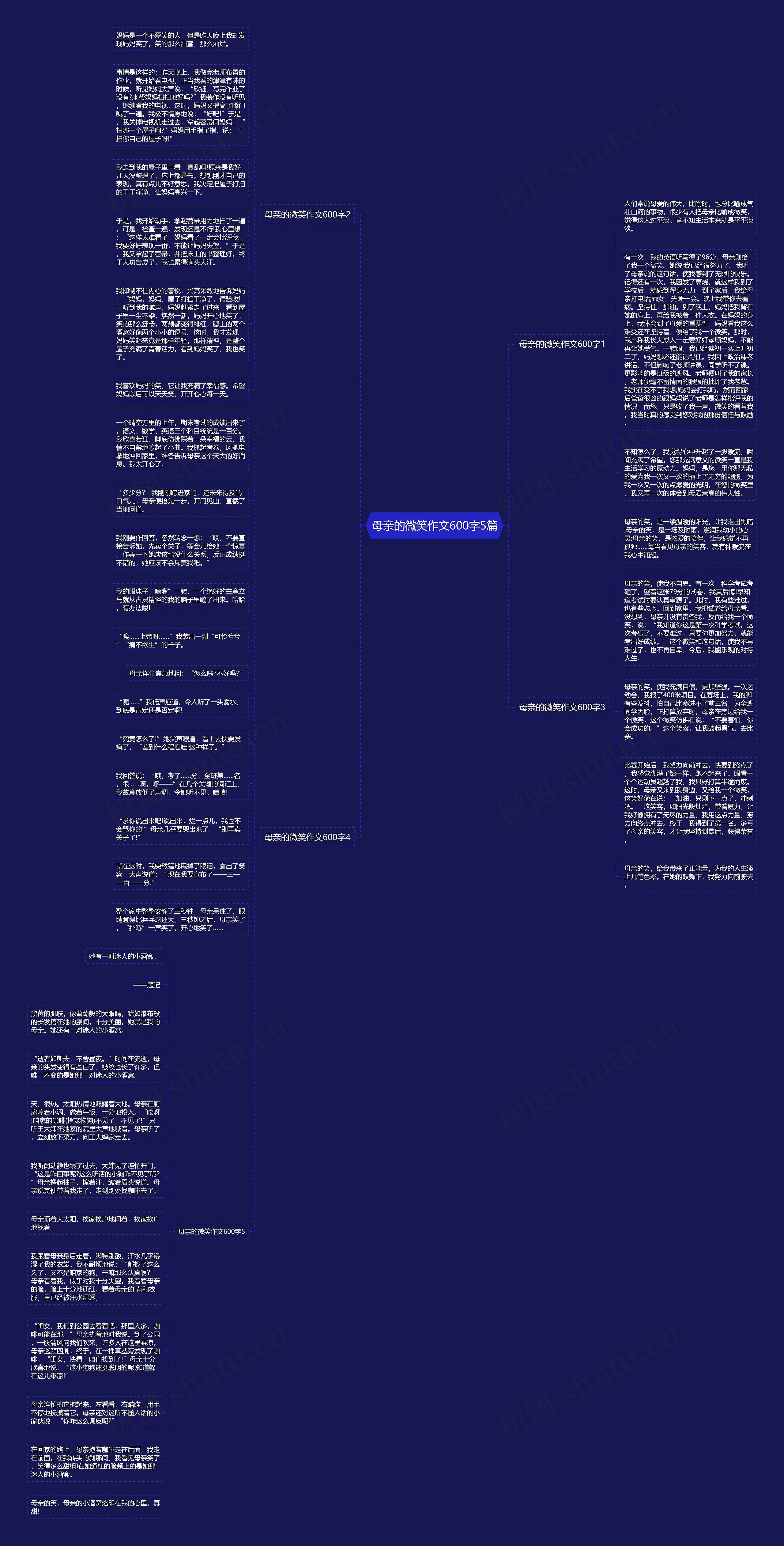 母亲的微笑作文600字5篇思维导图