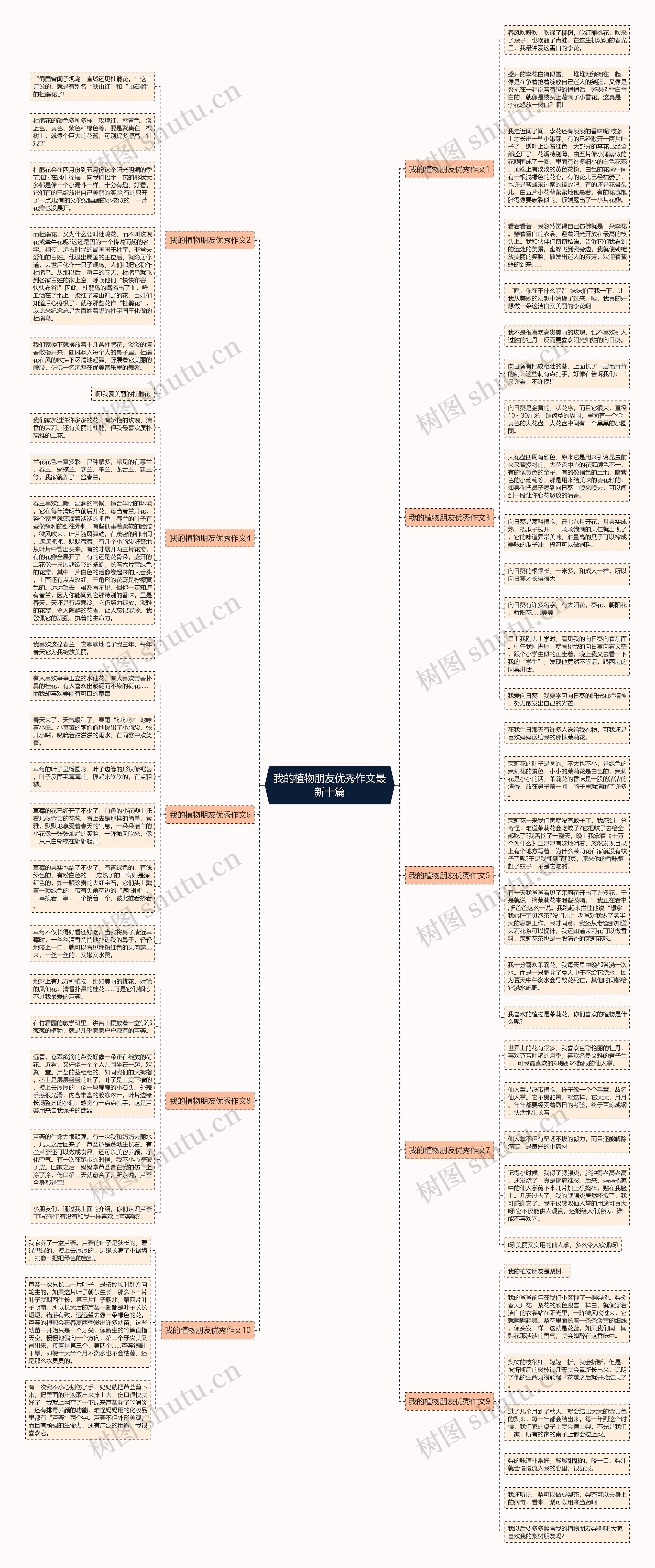 我的植物朋友优秀作文最新十篇思维导图