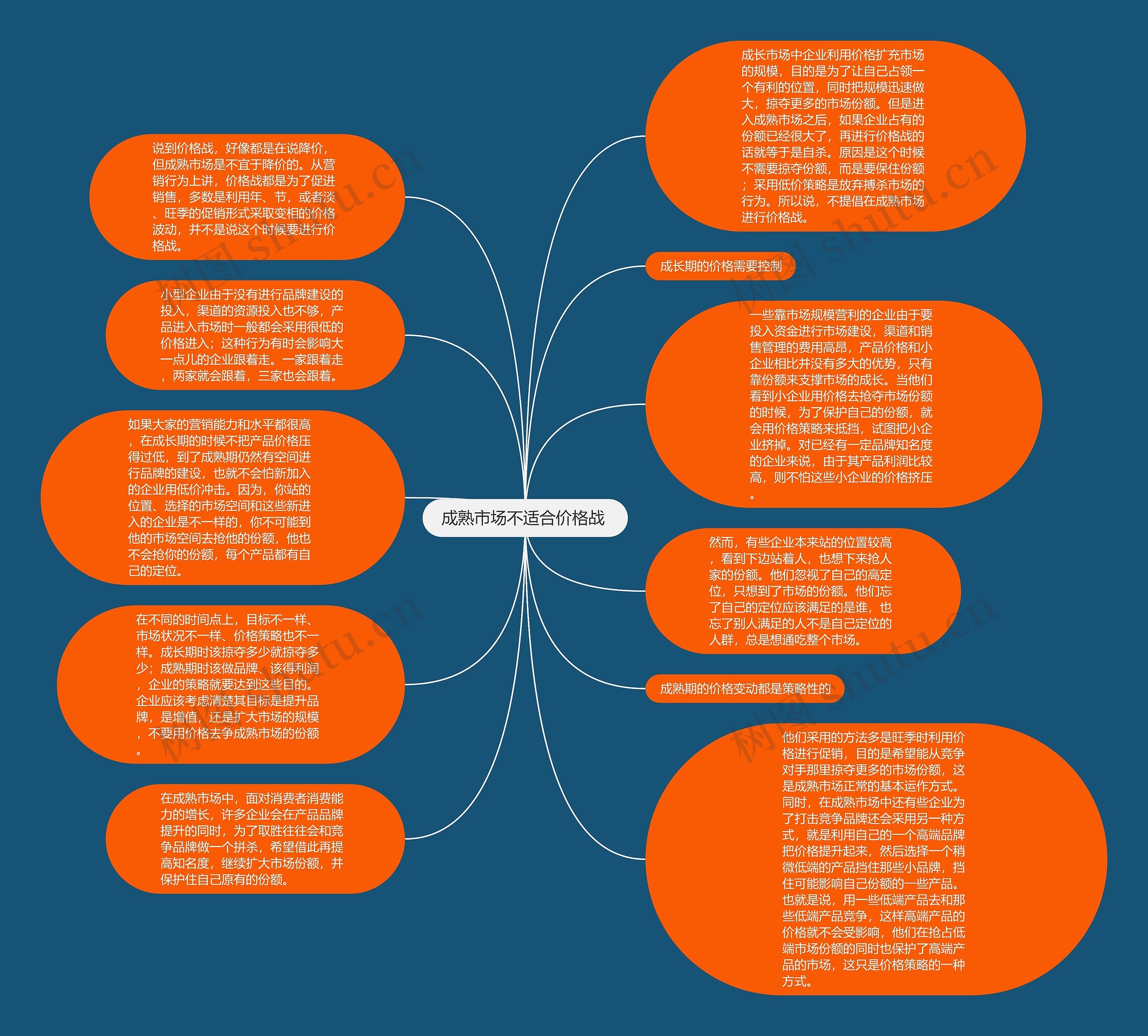 成熟市场不适合价格战 思维导图