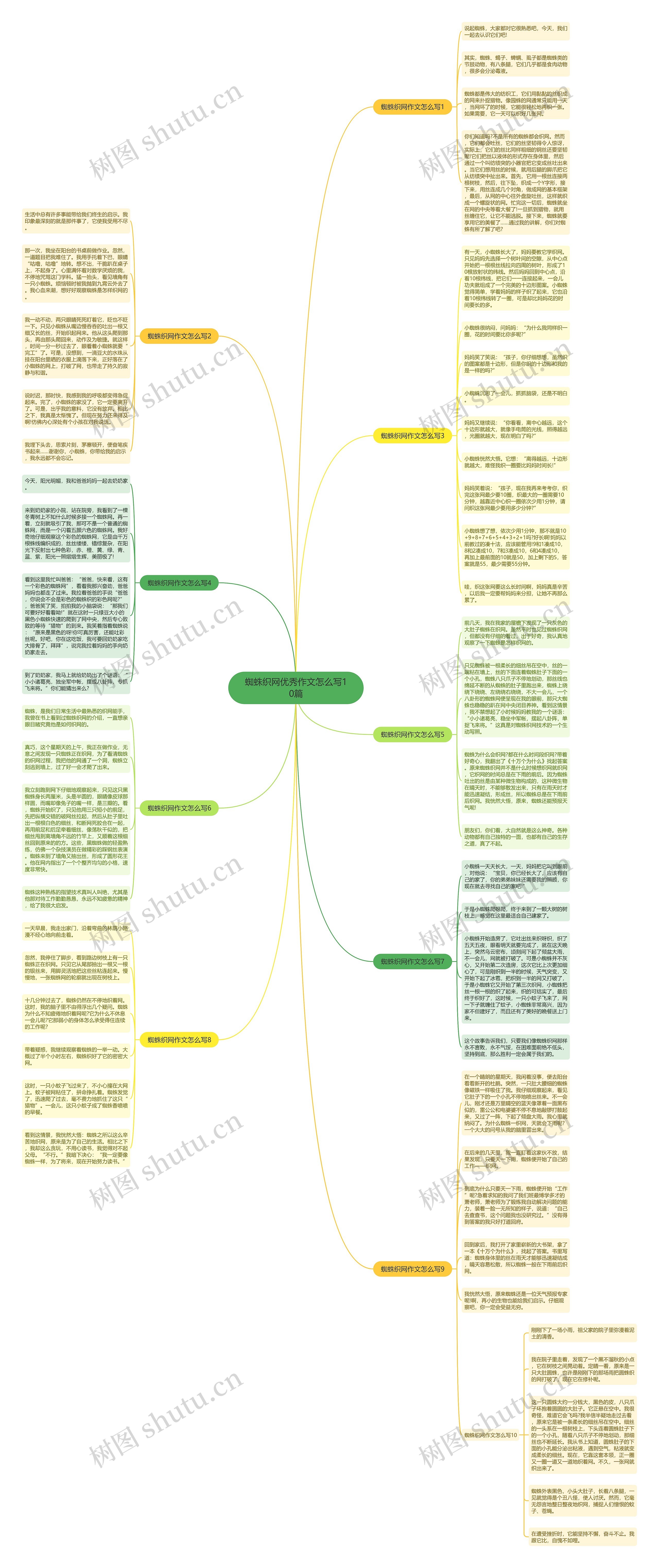 蜘蛛织网优秀作文怎么写10篇思维导图