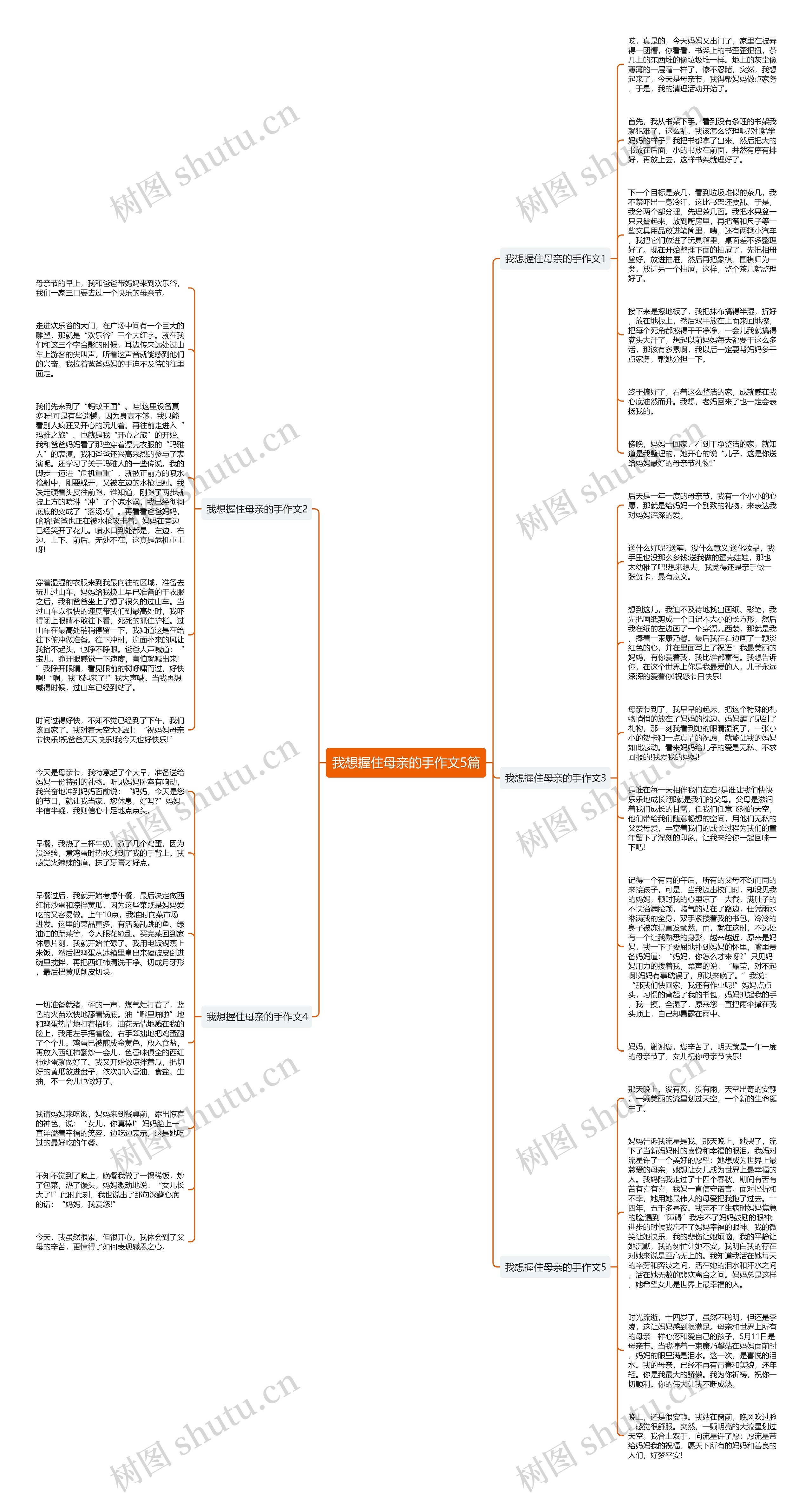 我想握住母亲的手作文5篇思维导图