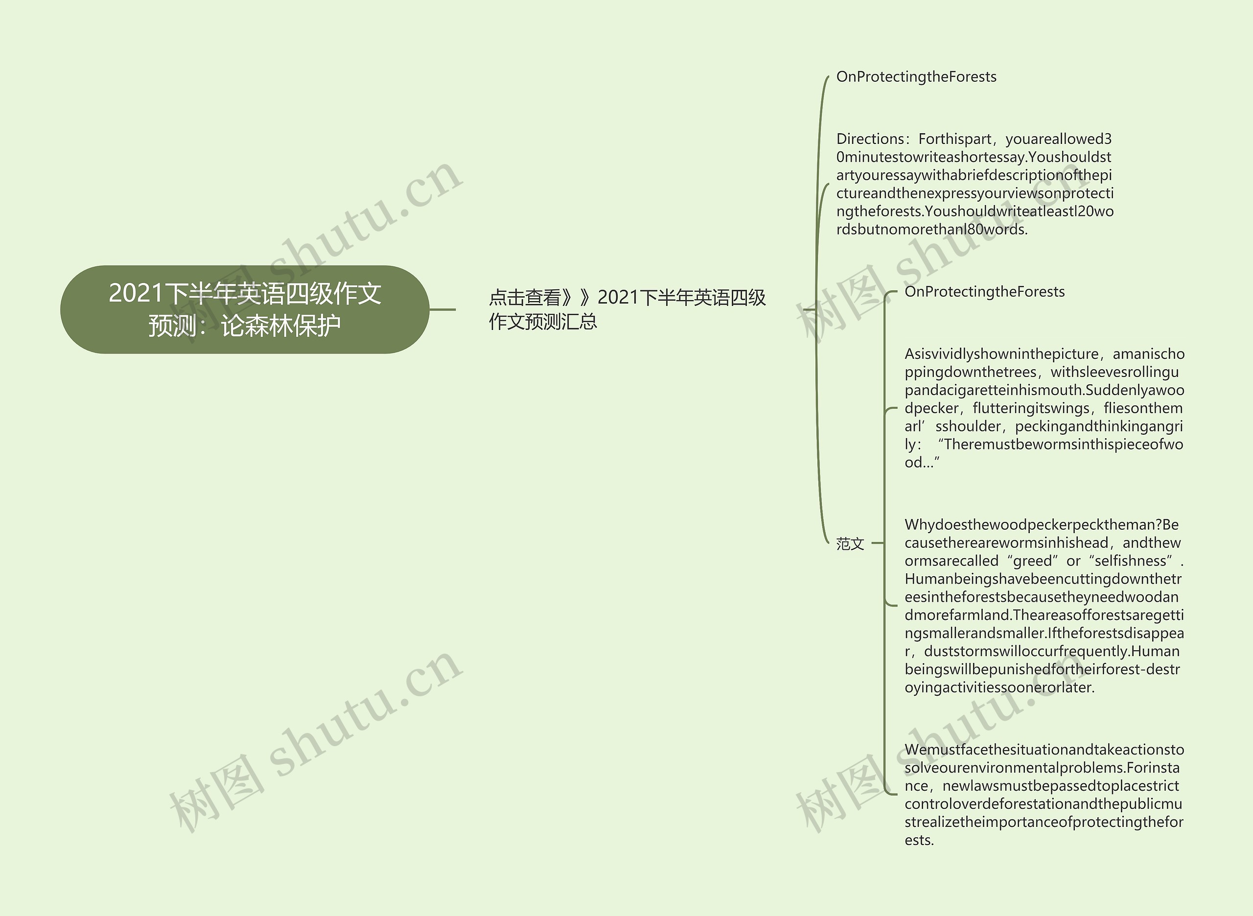 2021下半年英语四级作文预测：论森林保护