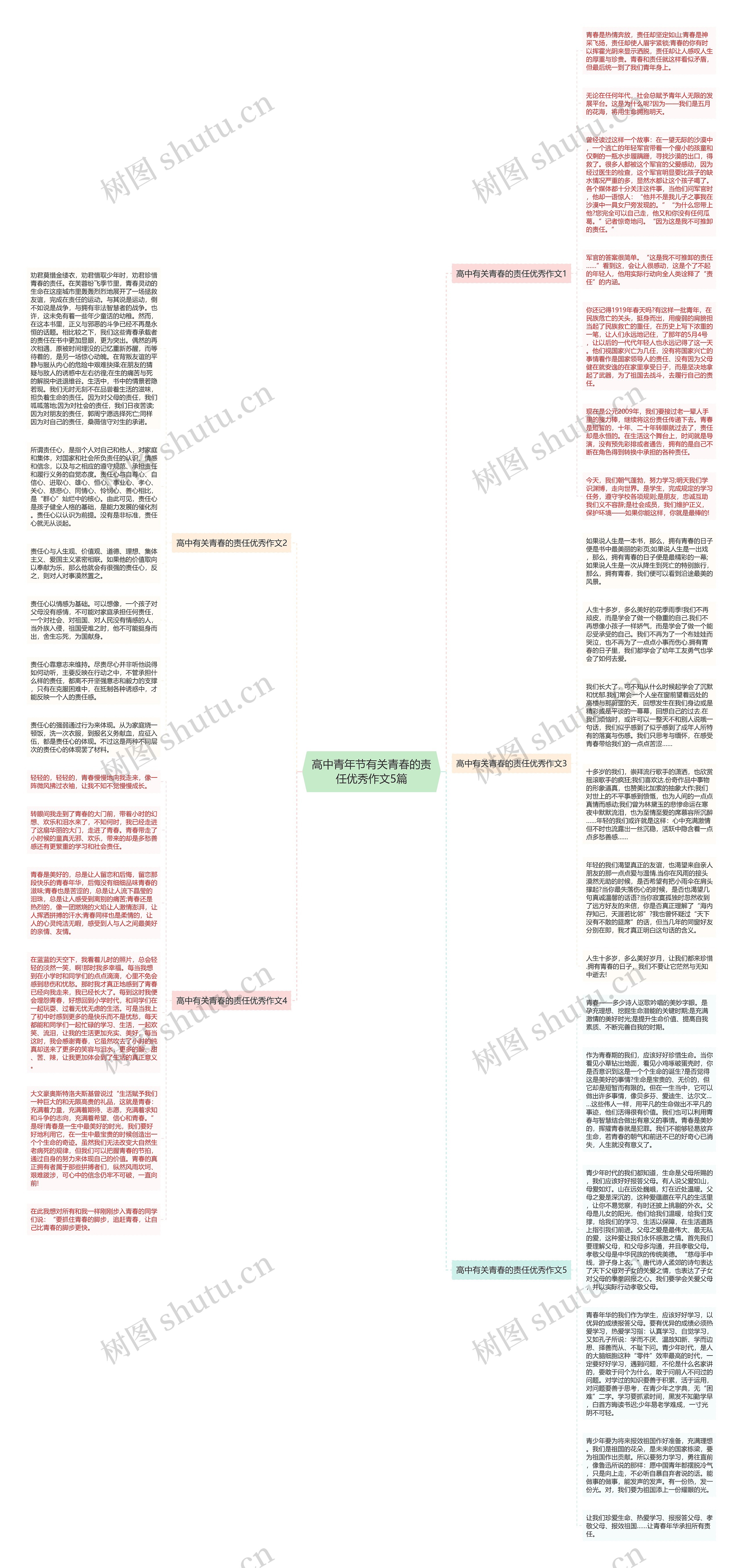 高中青年节有关青春的责任优秀作文5篇思维导图