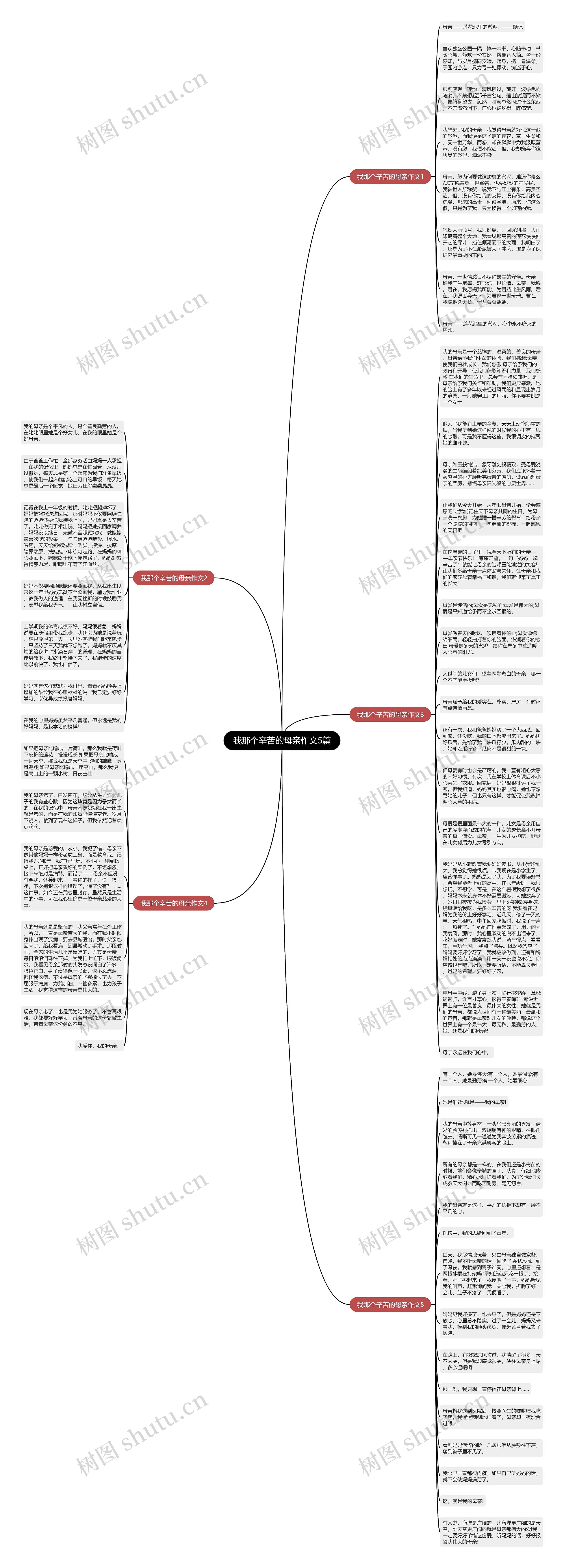 我那个辛苦的母亲作文5篇思维导图
