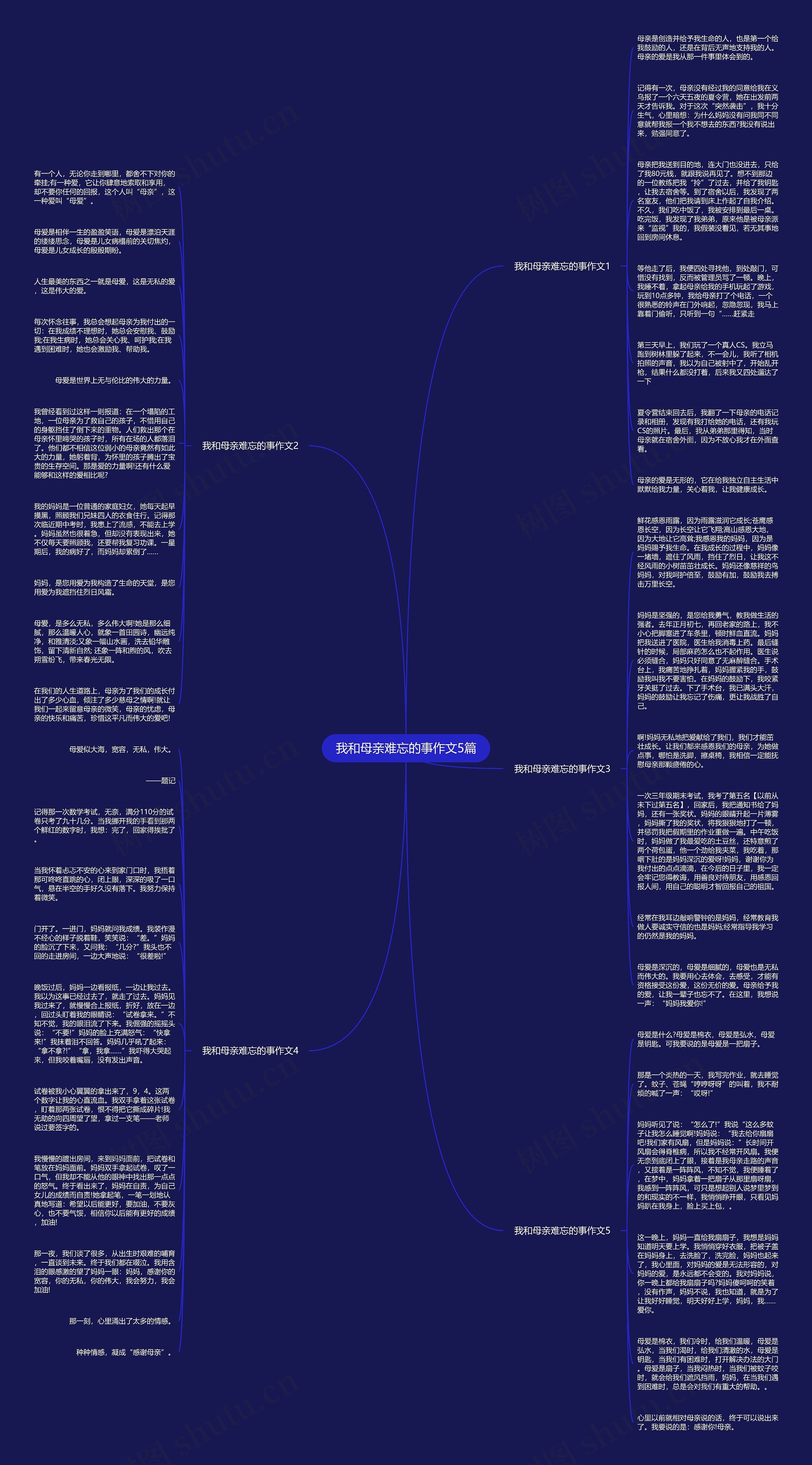 我和母亲难忘的事作文5篇