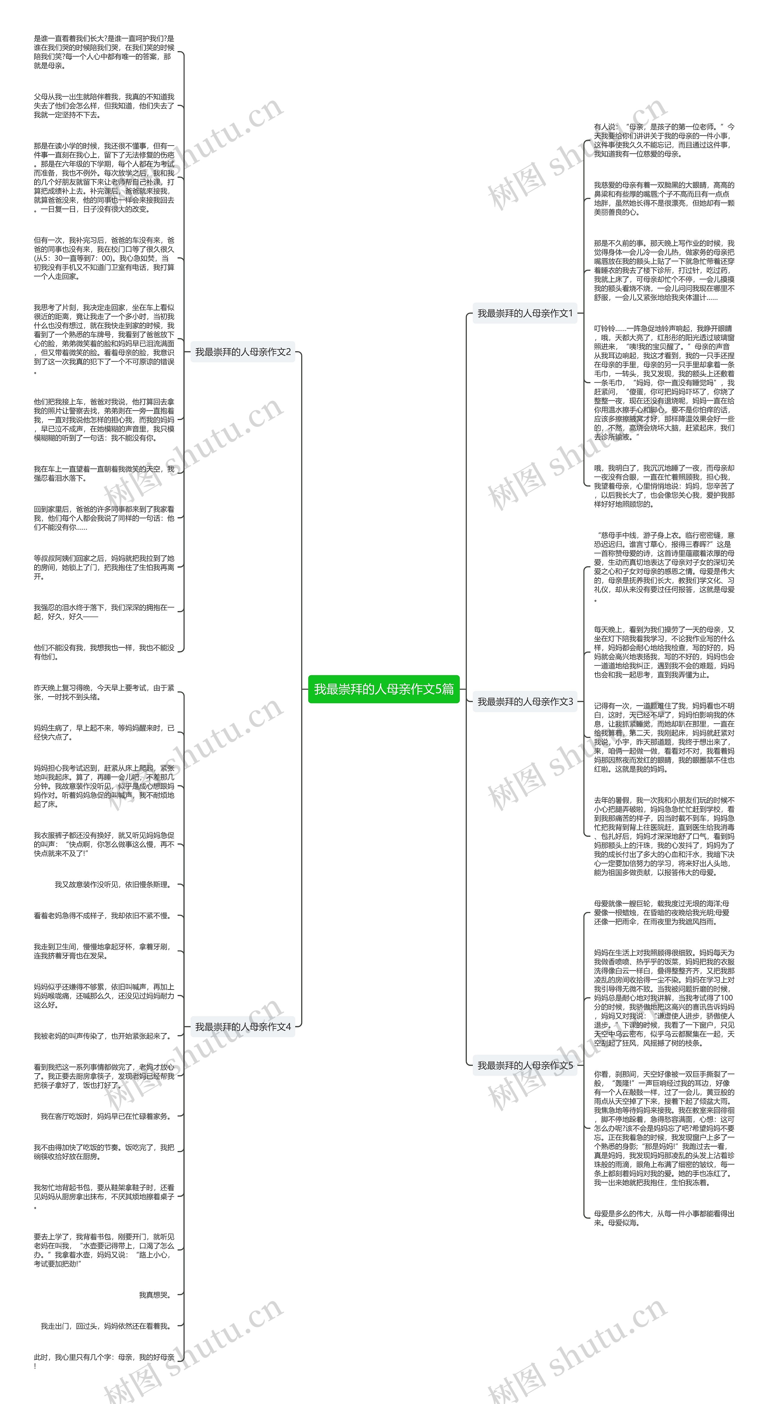 我最崇拜的人母亲作文5篇思维导图