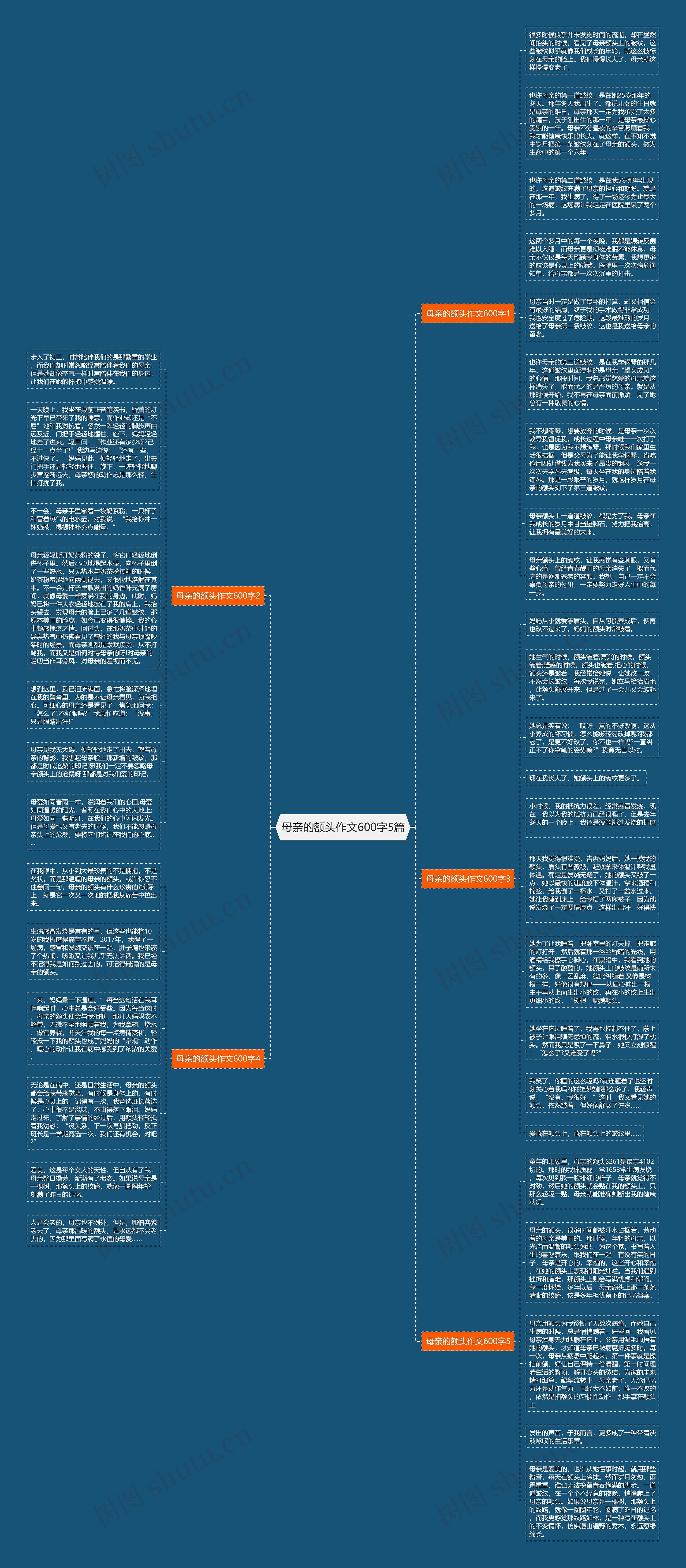 母亲的额头作文600字5篇思维导图
