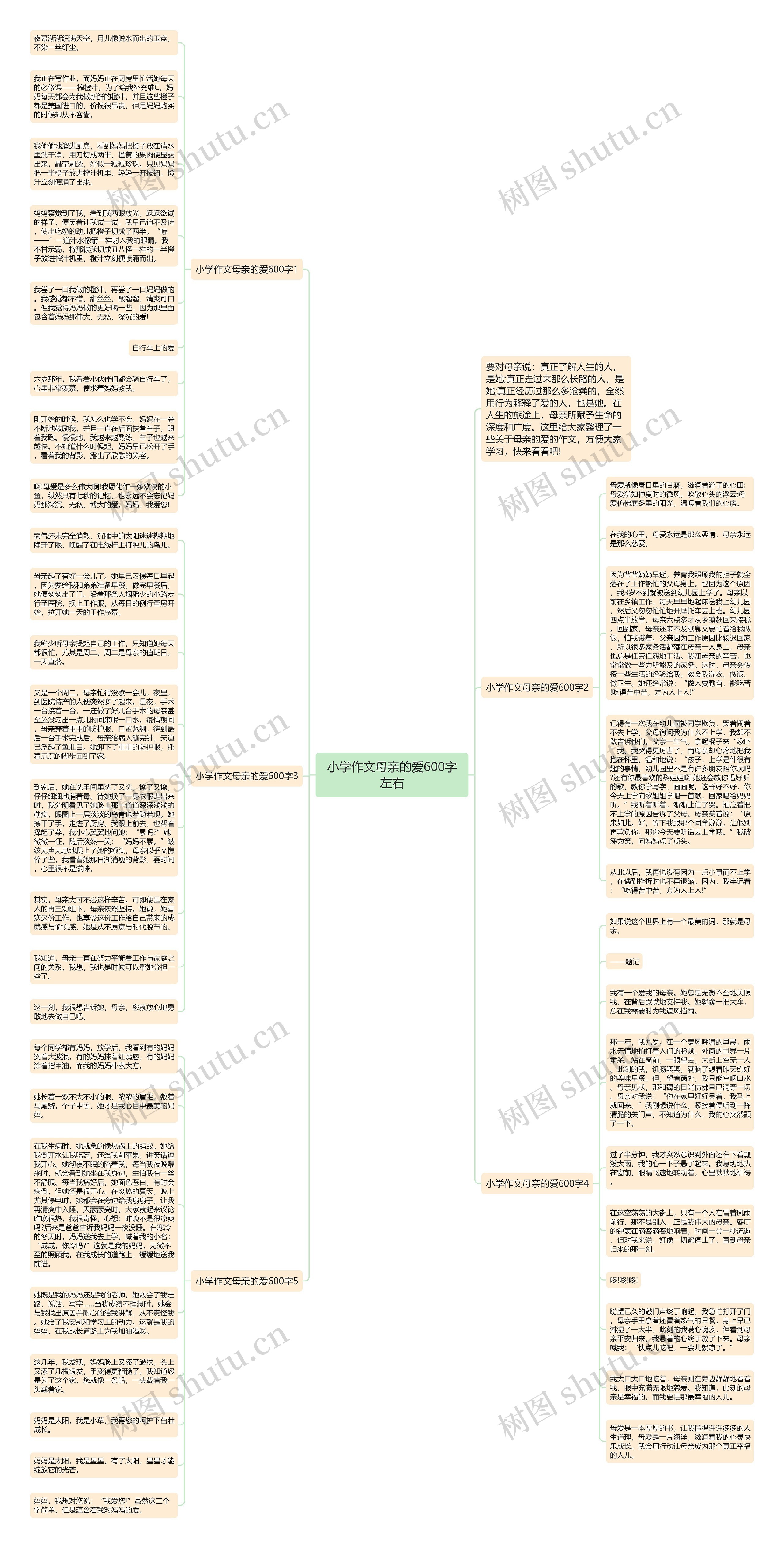 小学作文母亲的爱600字左右思维导图