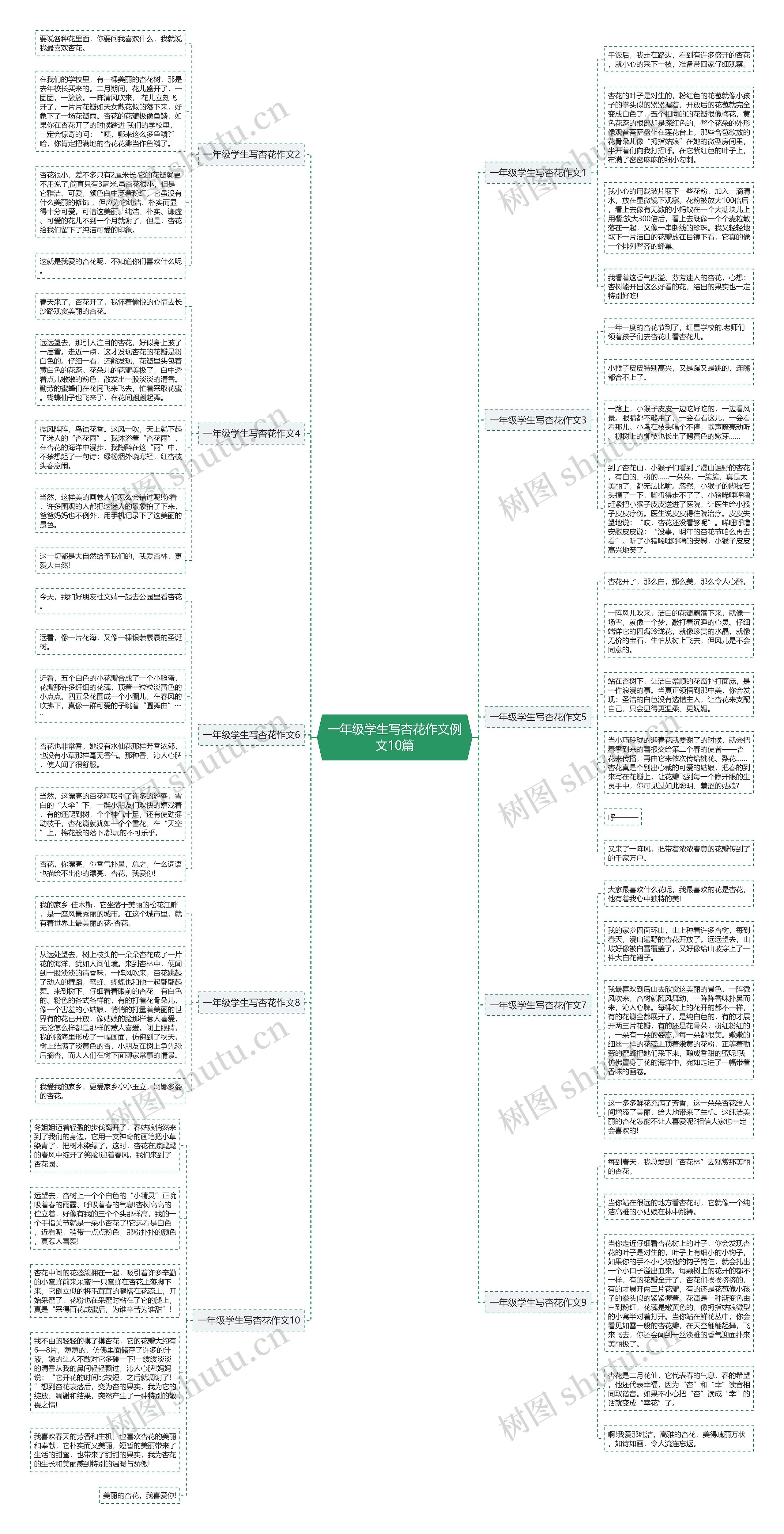 一年级学生写杏花作文例文10篇思维导图