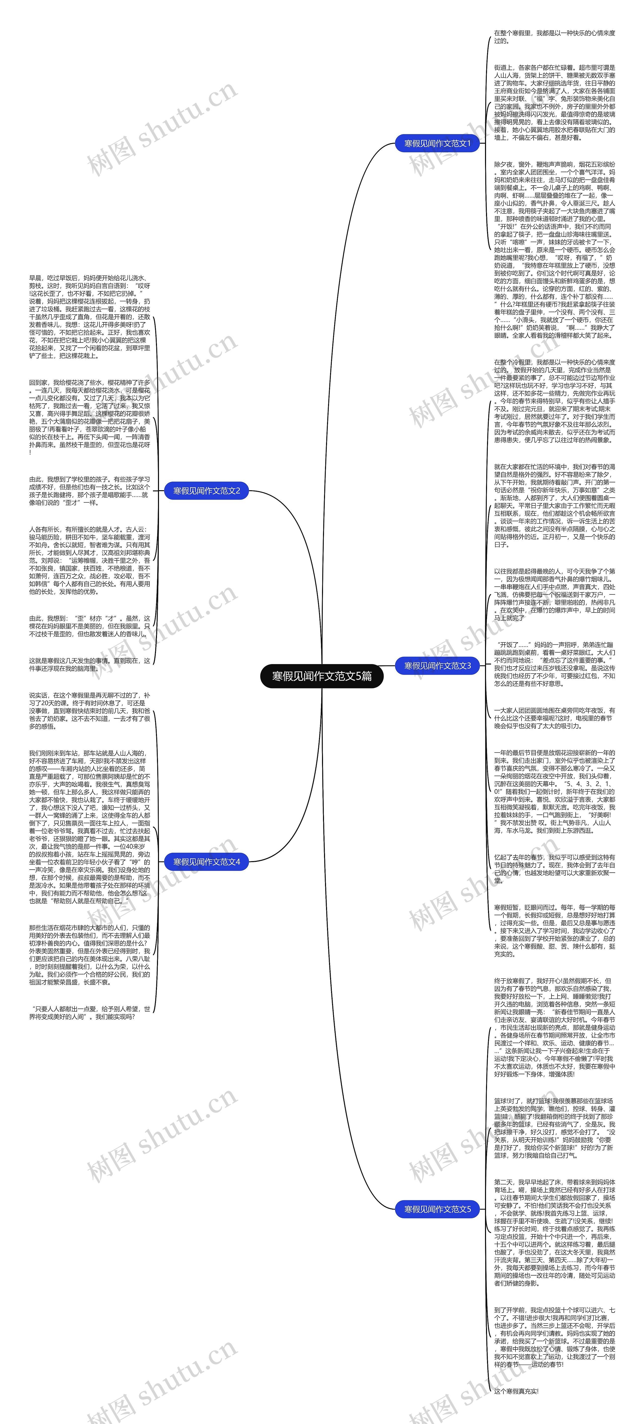寒假见闻作文范文5篇思维导图