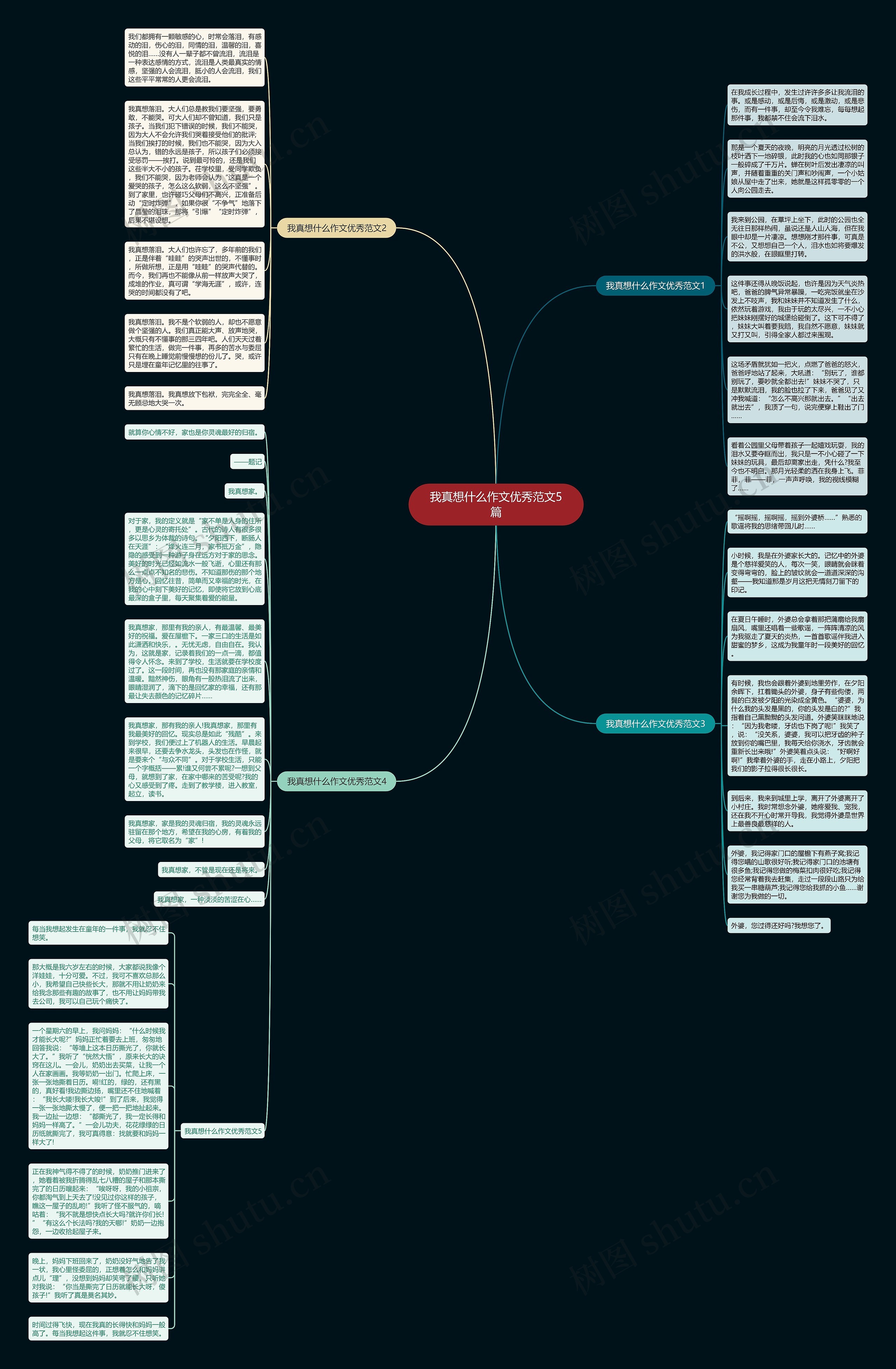 我真想什么作文优秀范文5篇思维导图