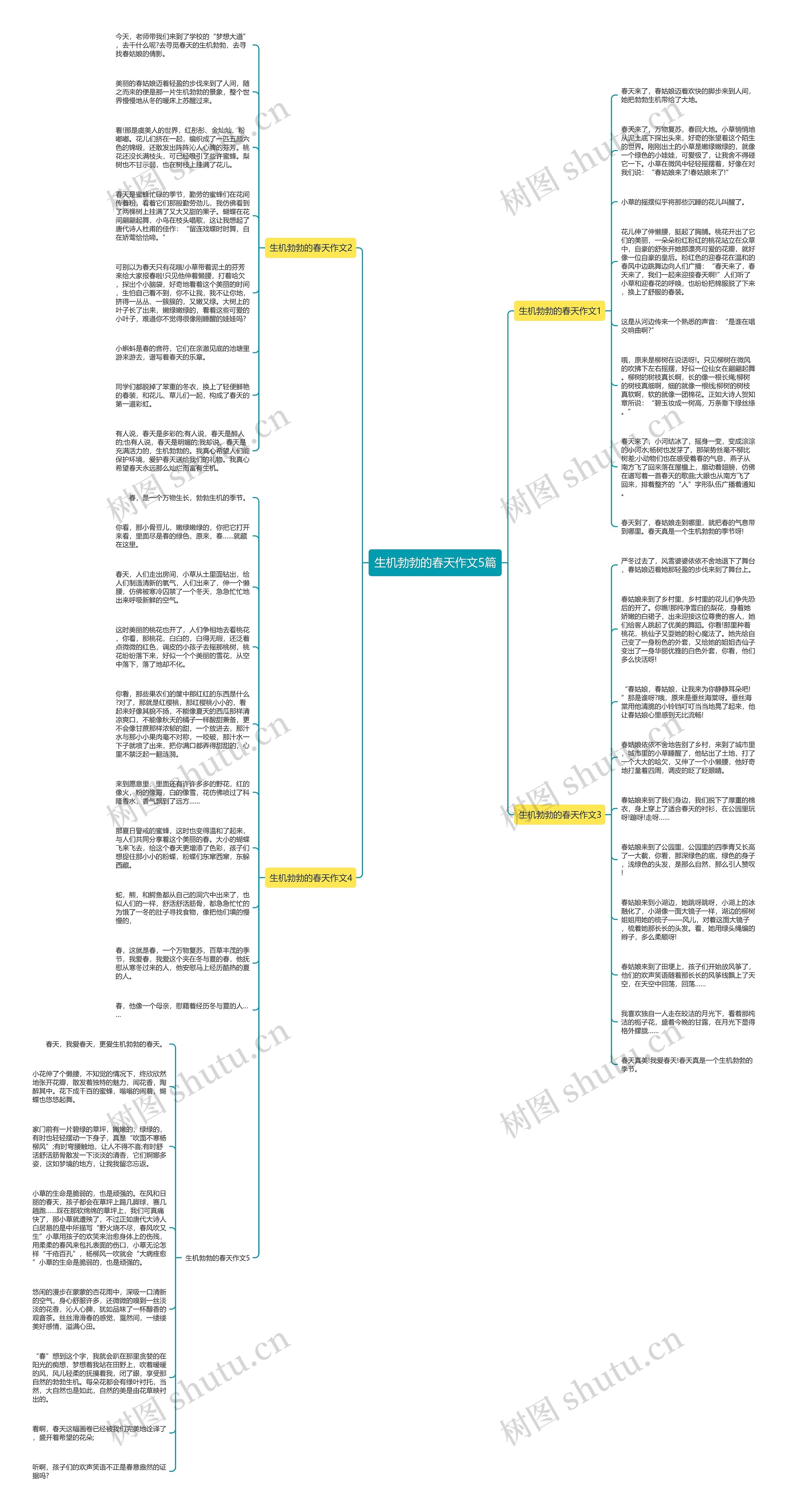 生机勃勃的春天作文5篇思维导图