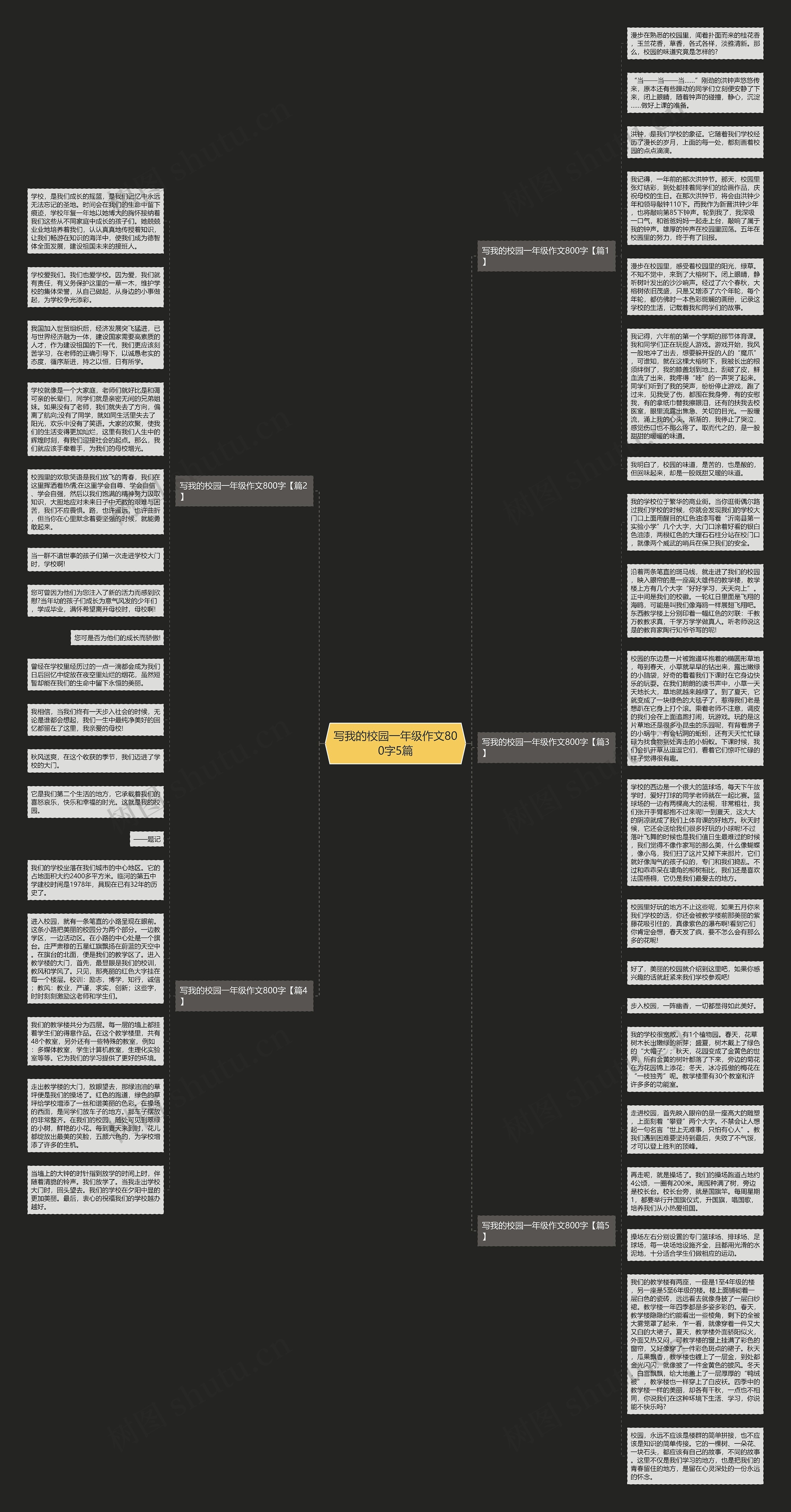 写我的校园一年级作文800字5篇