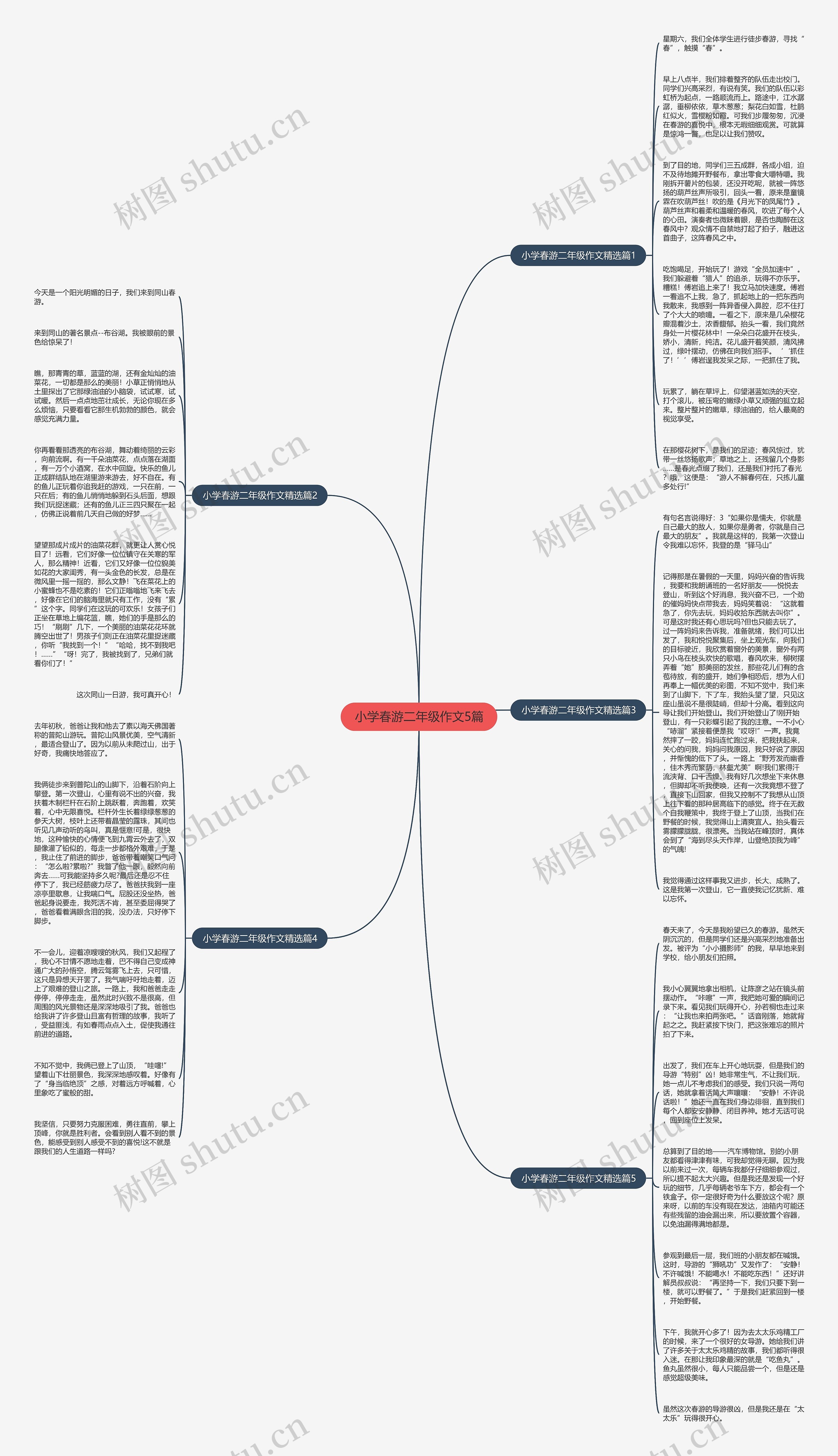 小学春游二年级作文5篇思维导图