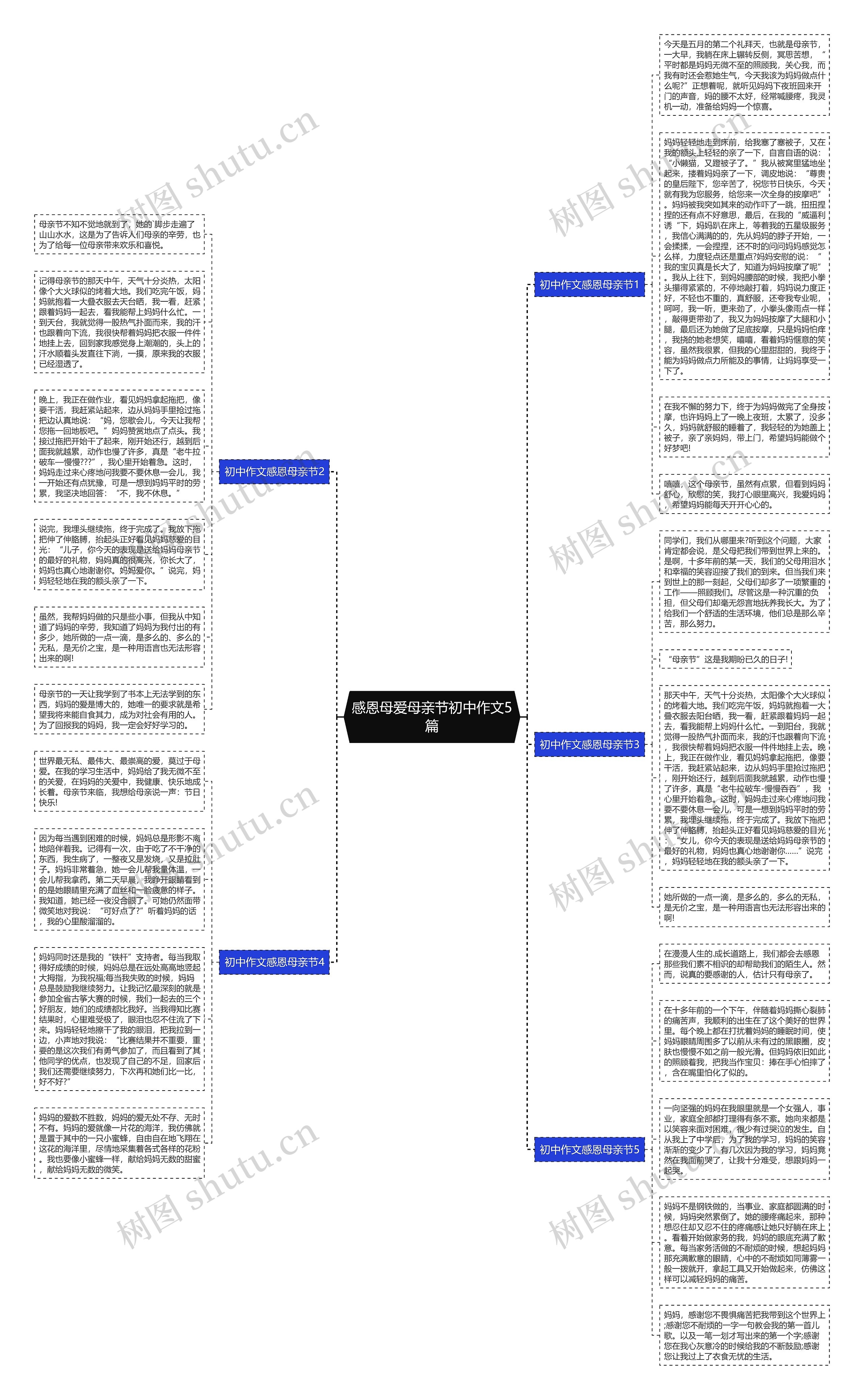 感恩母爱母亲节初中作文5篇思维导图
