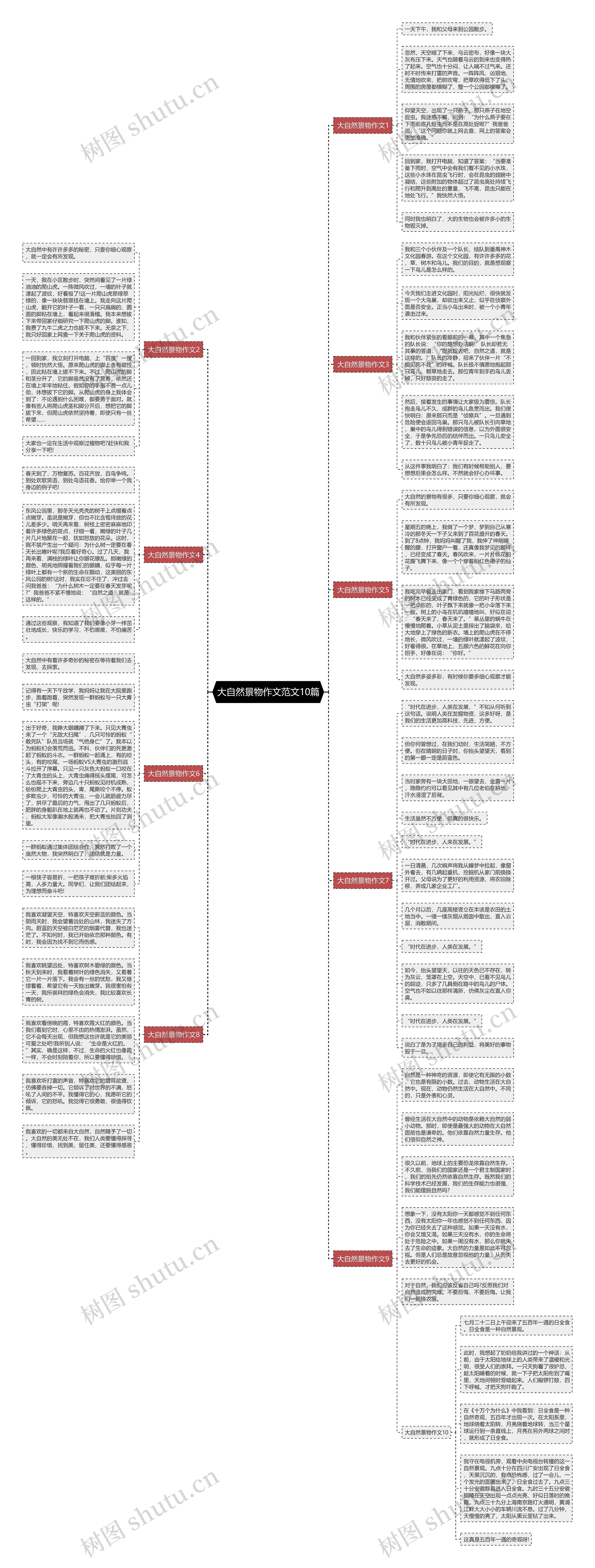 大自然景物作文范文10篇思维导图