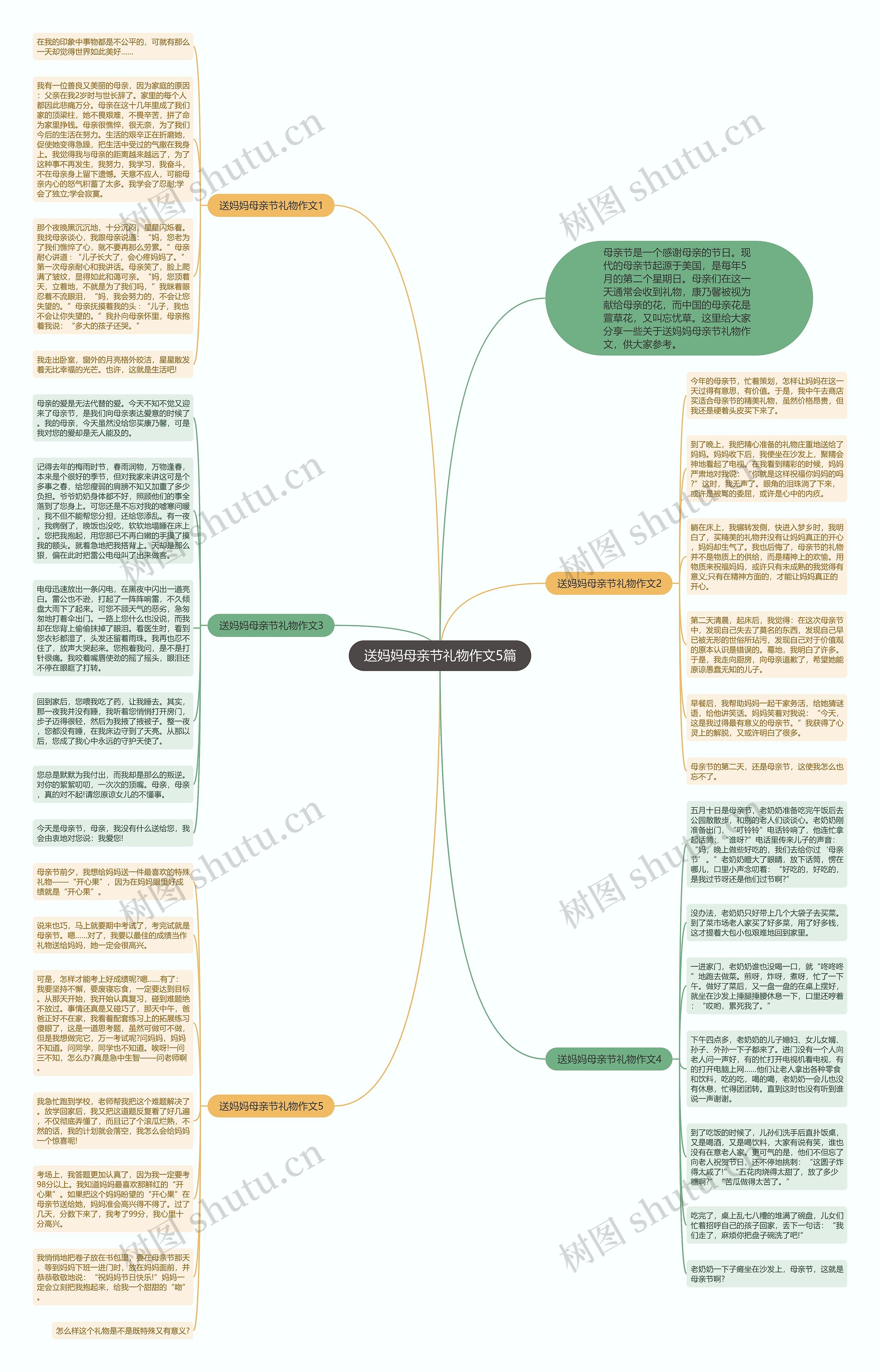 送妈妈母亲节礼物作文5篇思维导图