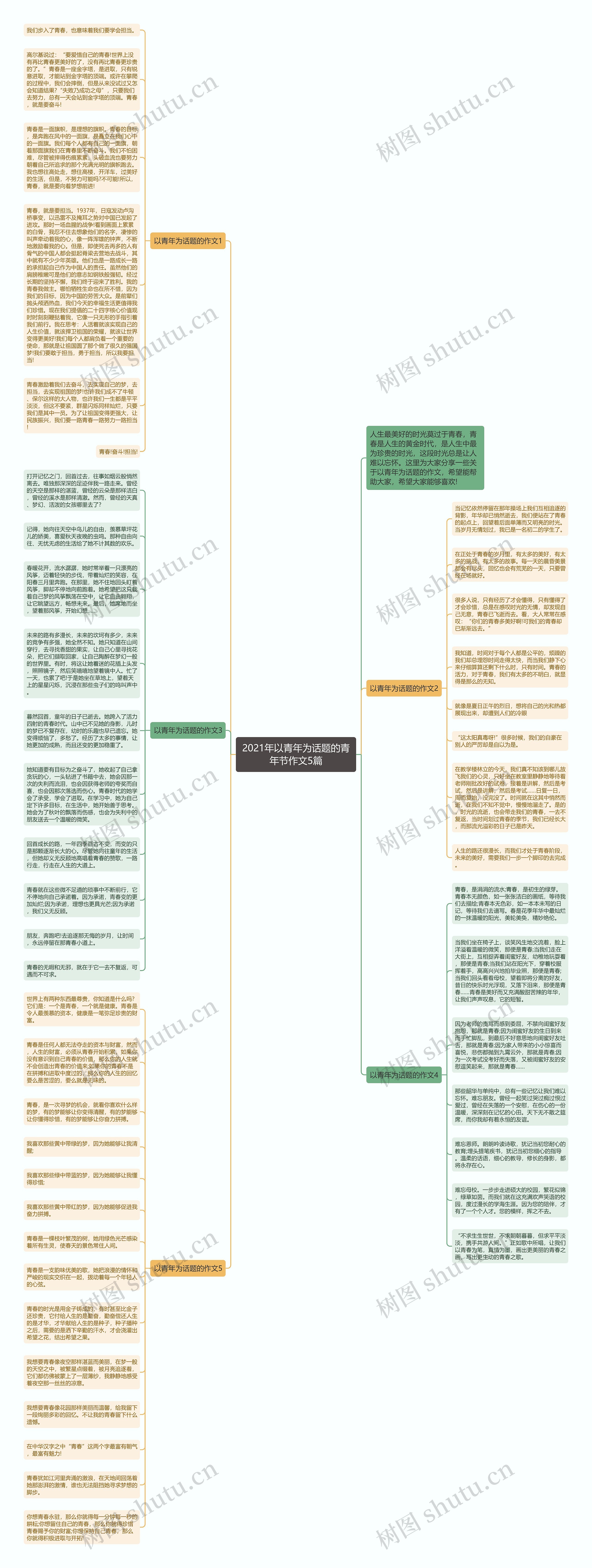 2021年以青年为话题的青年节作文5篇思维导图