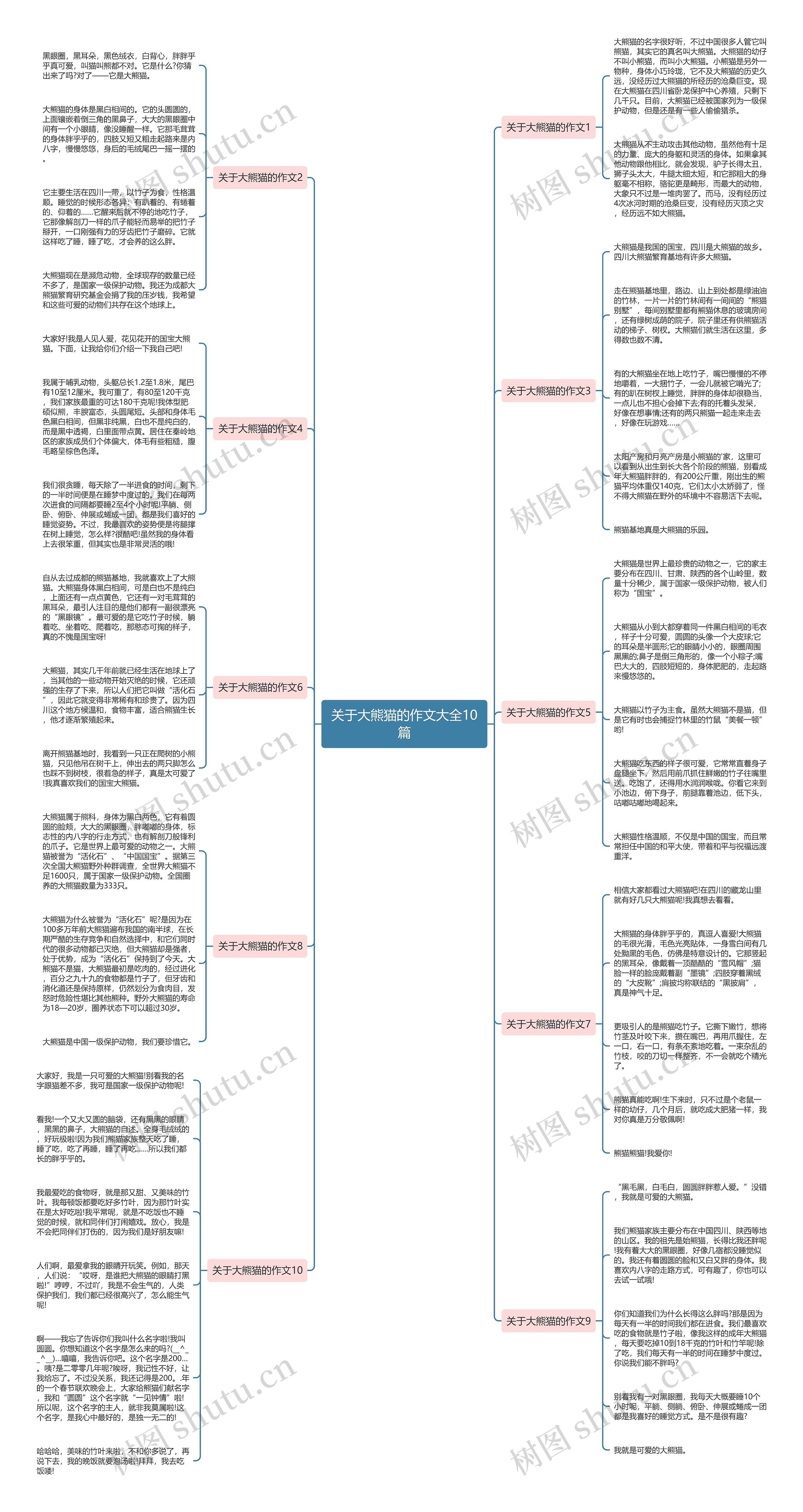 关于大熊猫的作文大全10篇思维导图