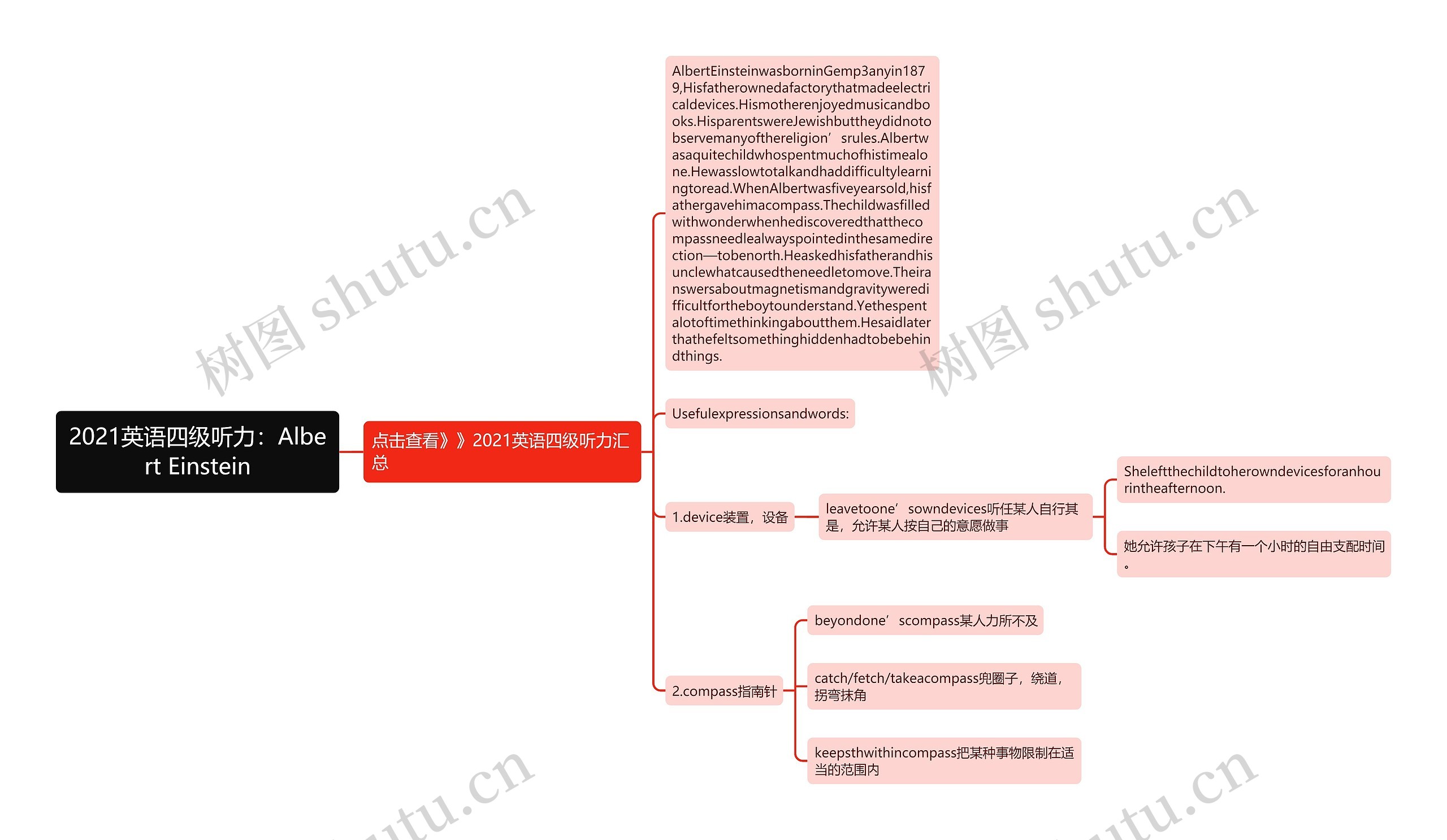 2021英语四级听力：Albert Einstein思维导图