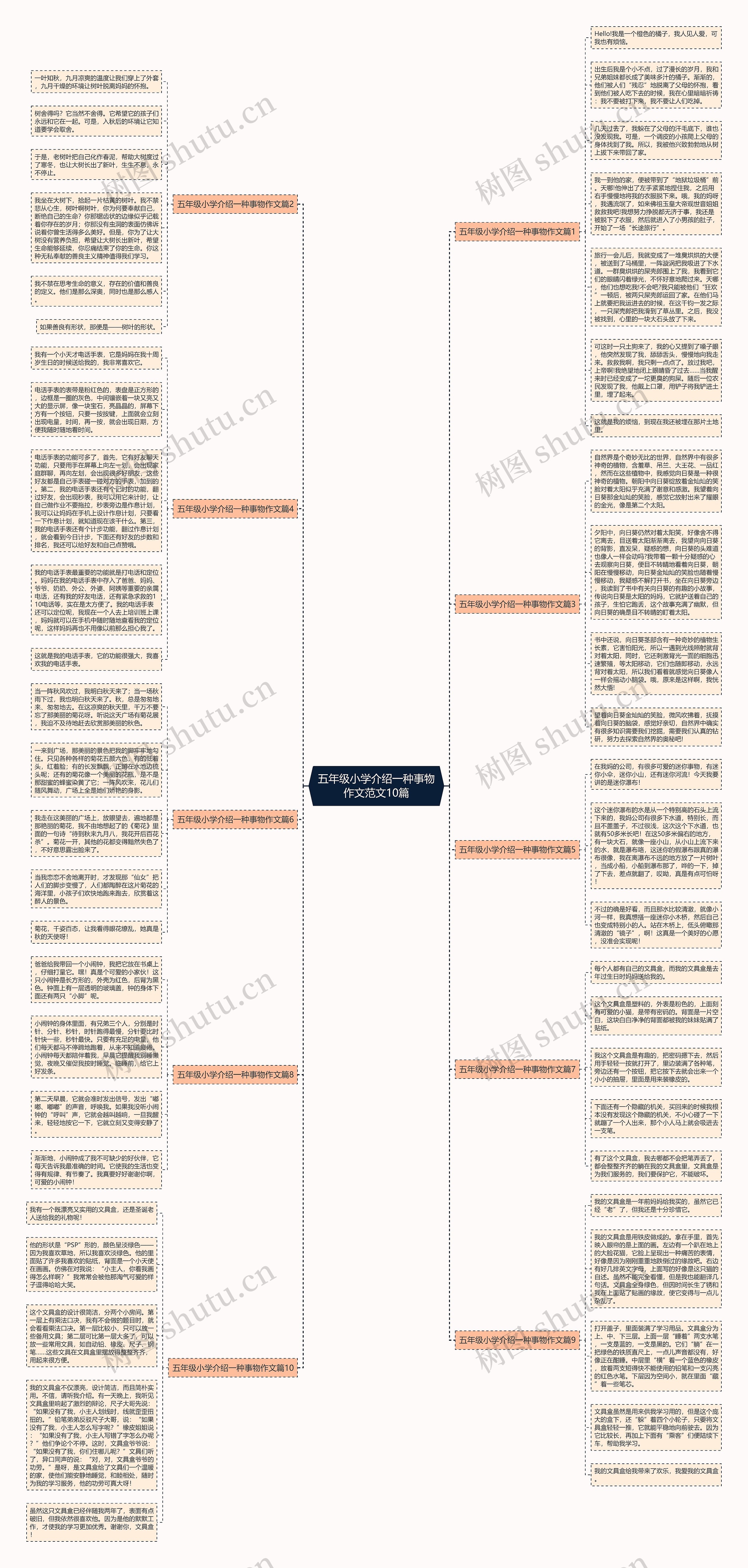 五年级小学介绍一种事物作文范文10篇思维导图