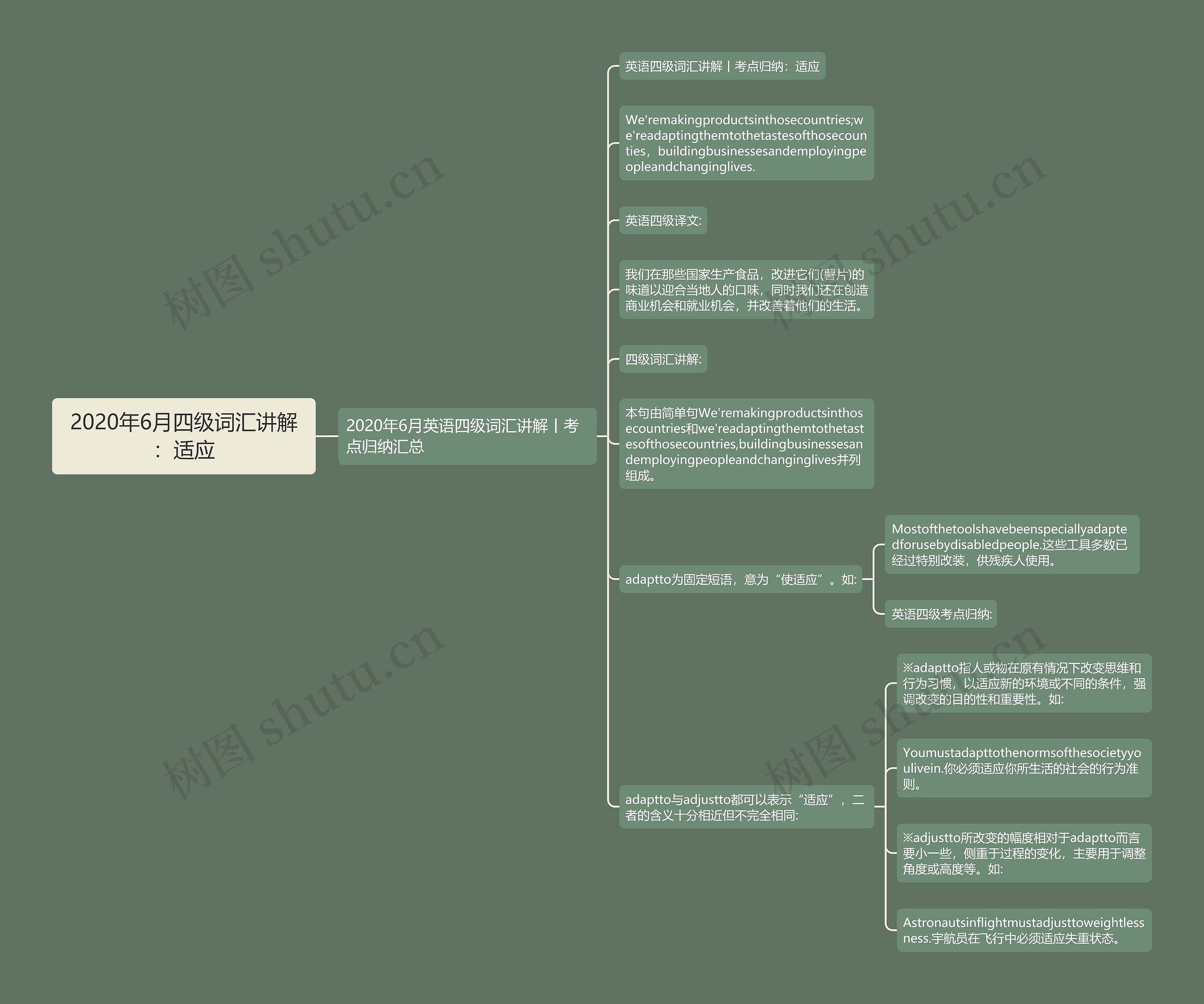 2020年6月四级词汇讲解：适应思维导图