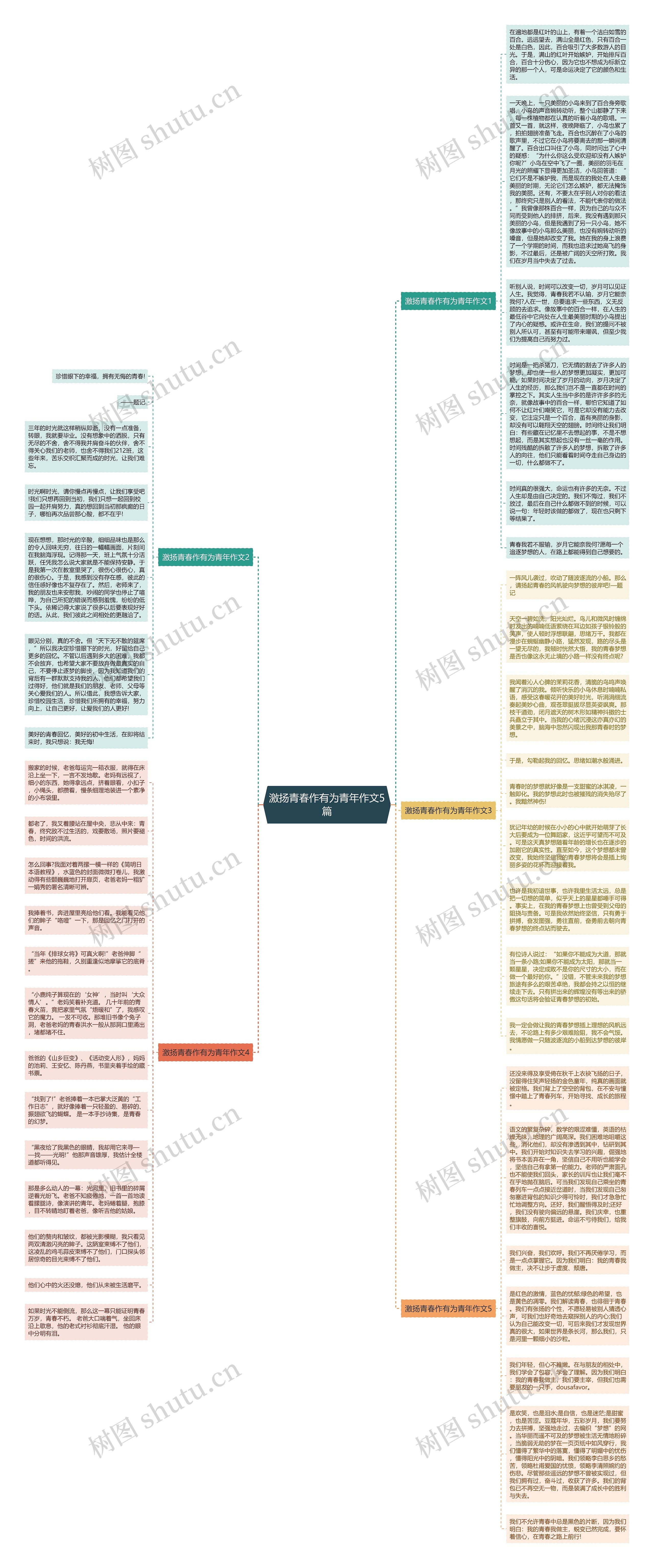 激扬青春作有为青年作文5篇思维导图