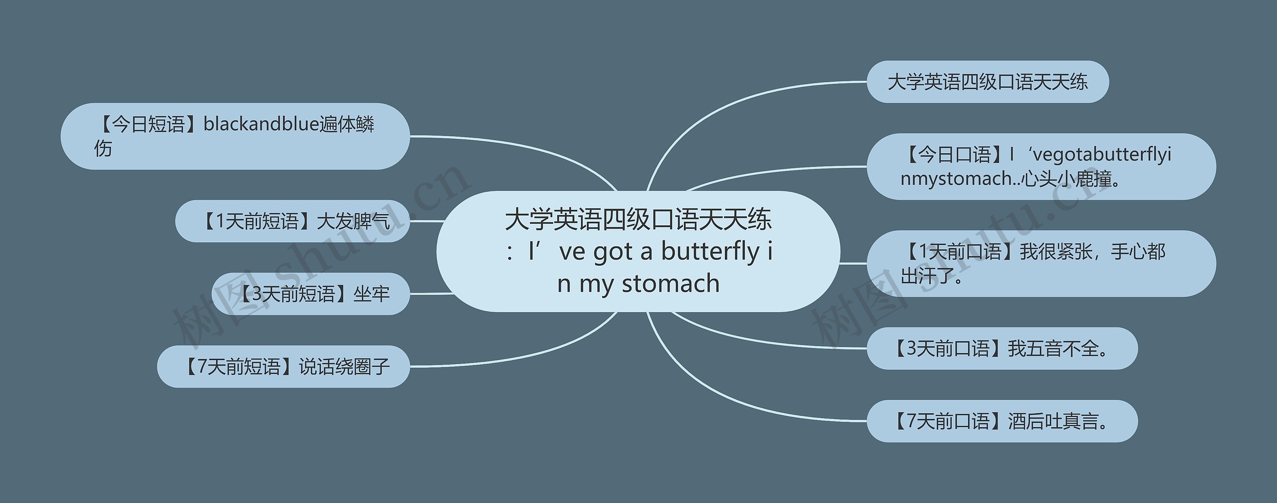 大学英语四级口语天天练：I’ve got a butterfly in my stomach