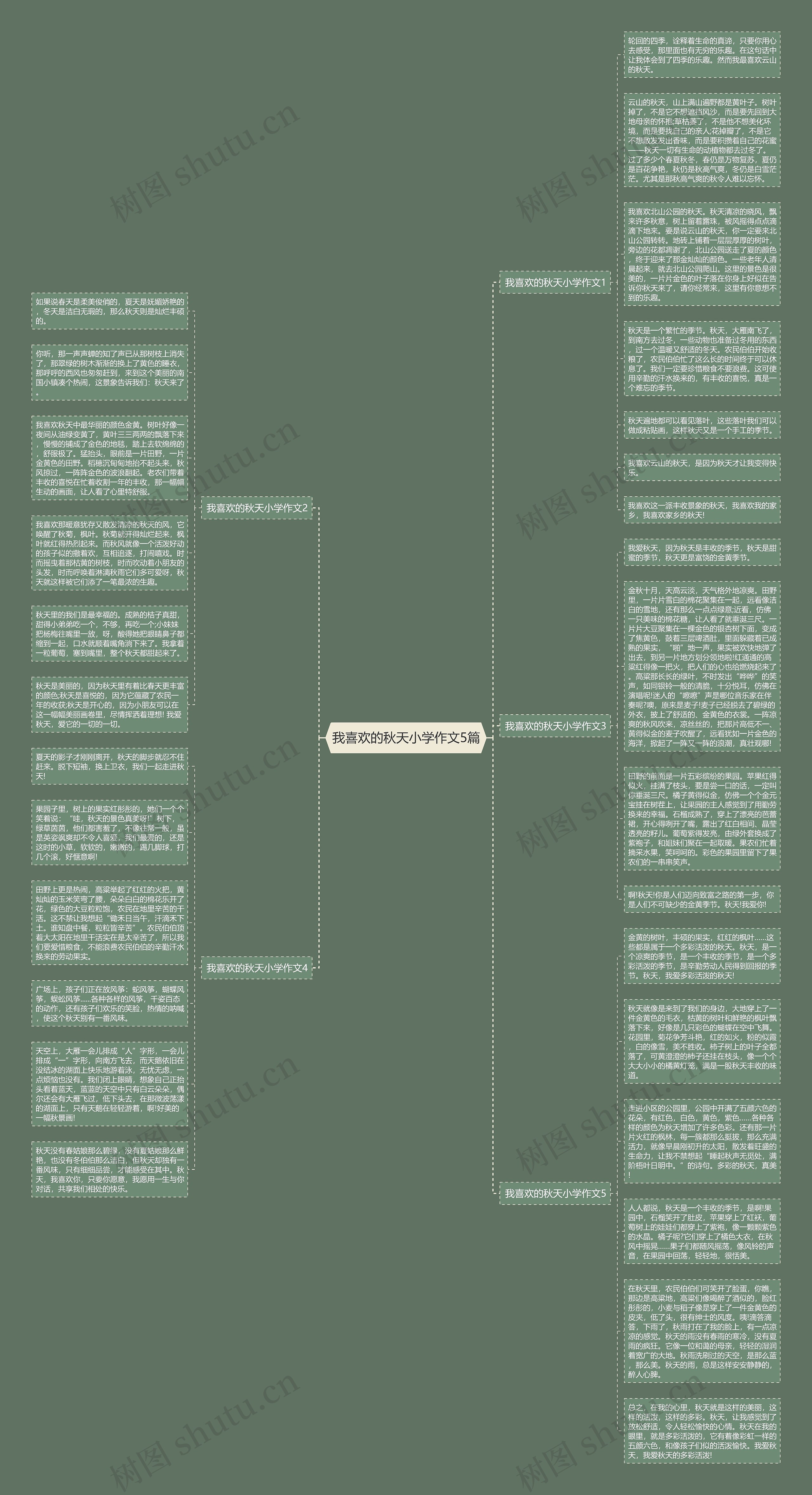 我喜欢的秋天小学作文5篇思维导图