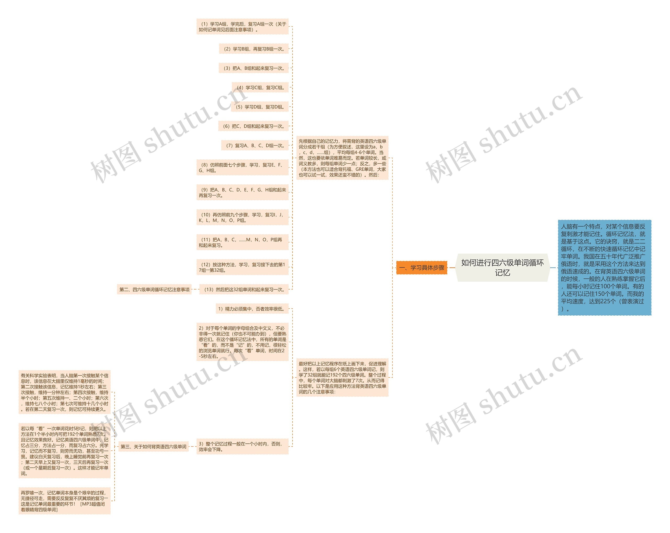 如何进行四六级单词循环记忆思维导图