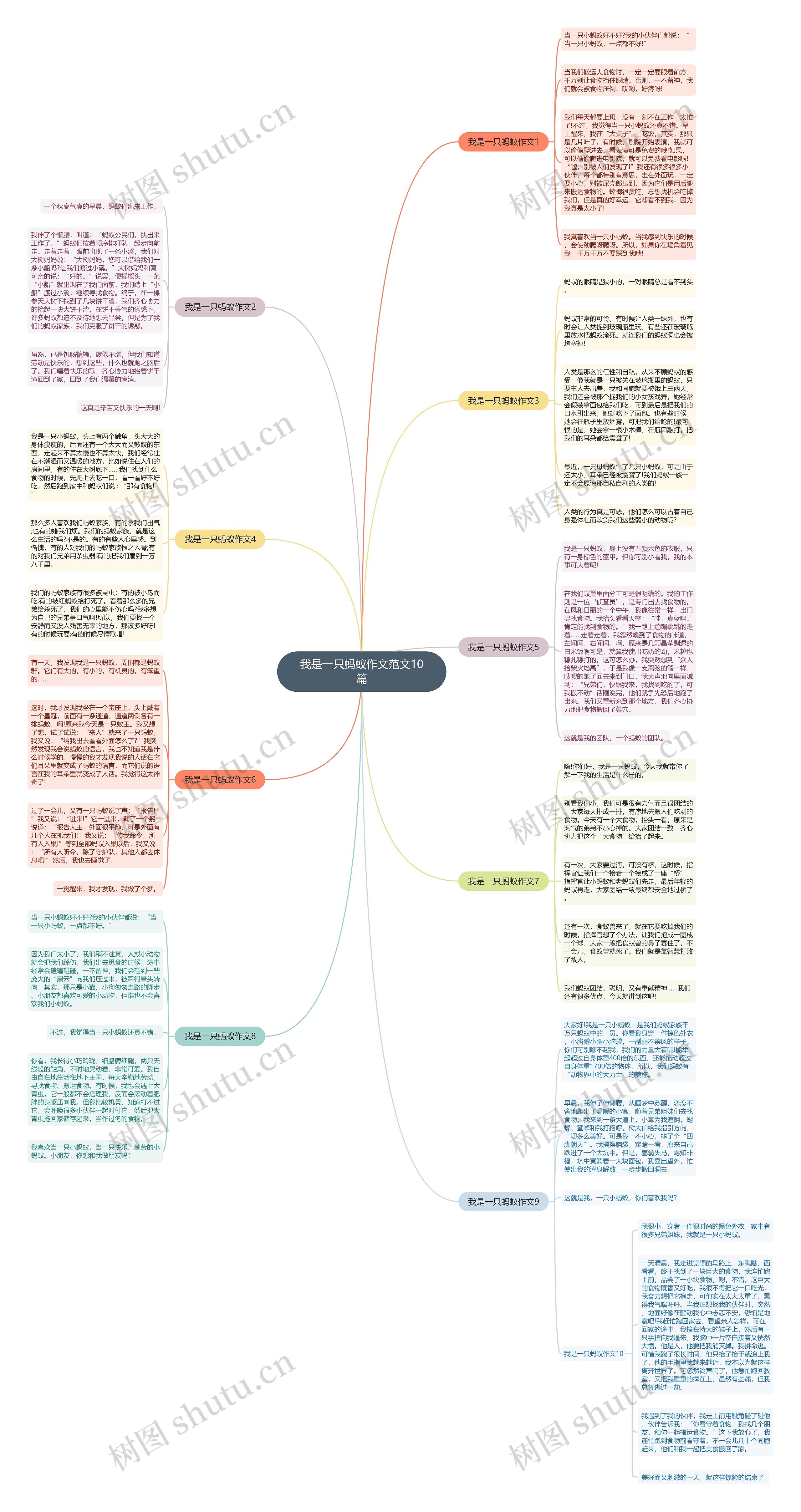 我是一只蚂蚁作文范文10篇思维导图