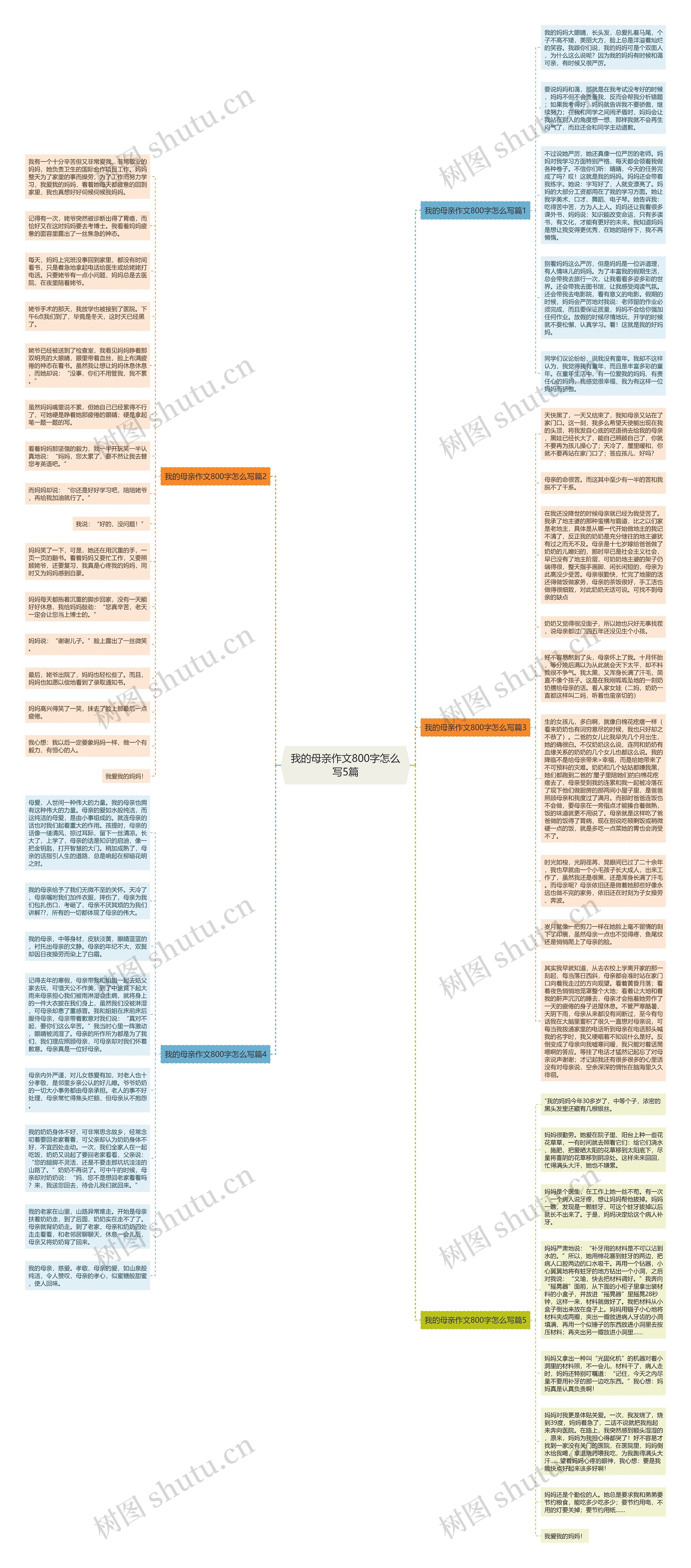 我的母亲作文800字怎么写5篇思维导图