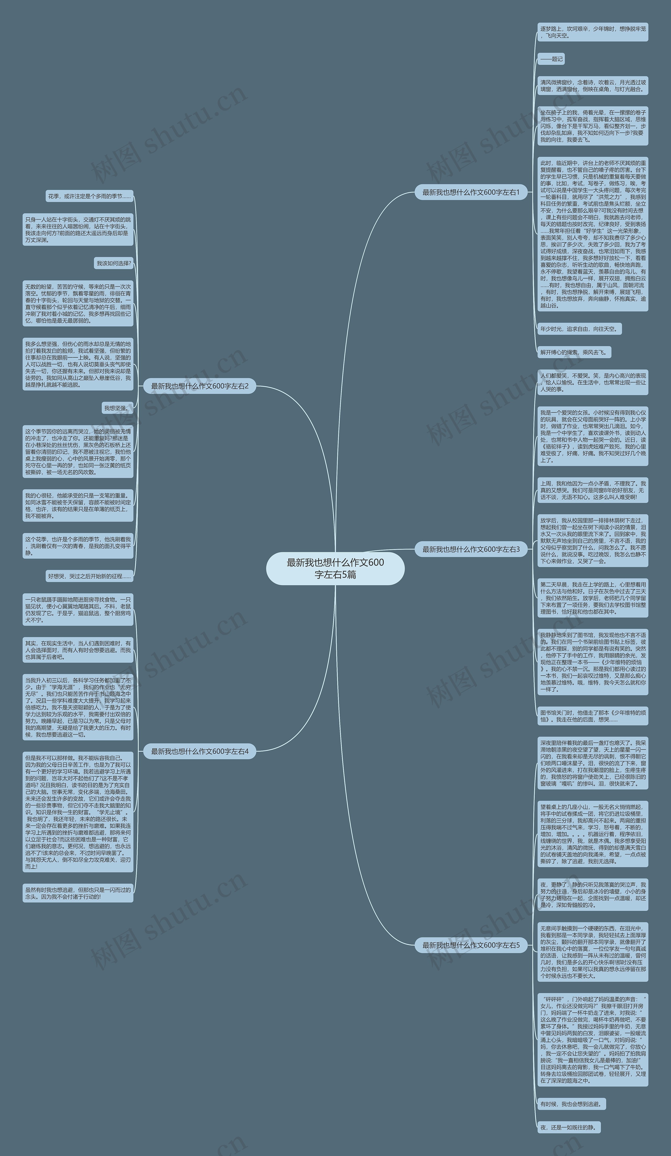 最新我也想什么作文600字左右5篇思维导图