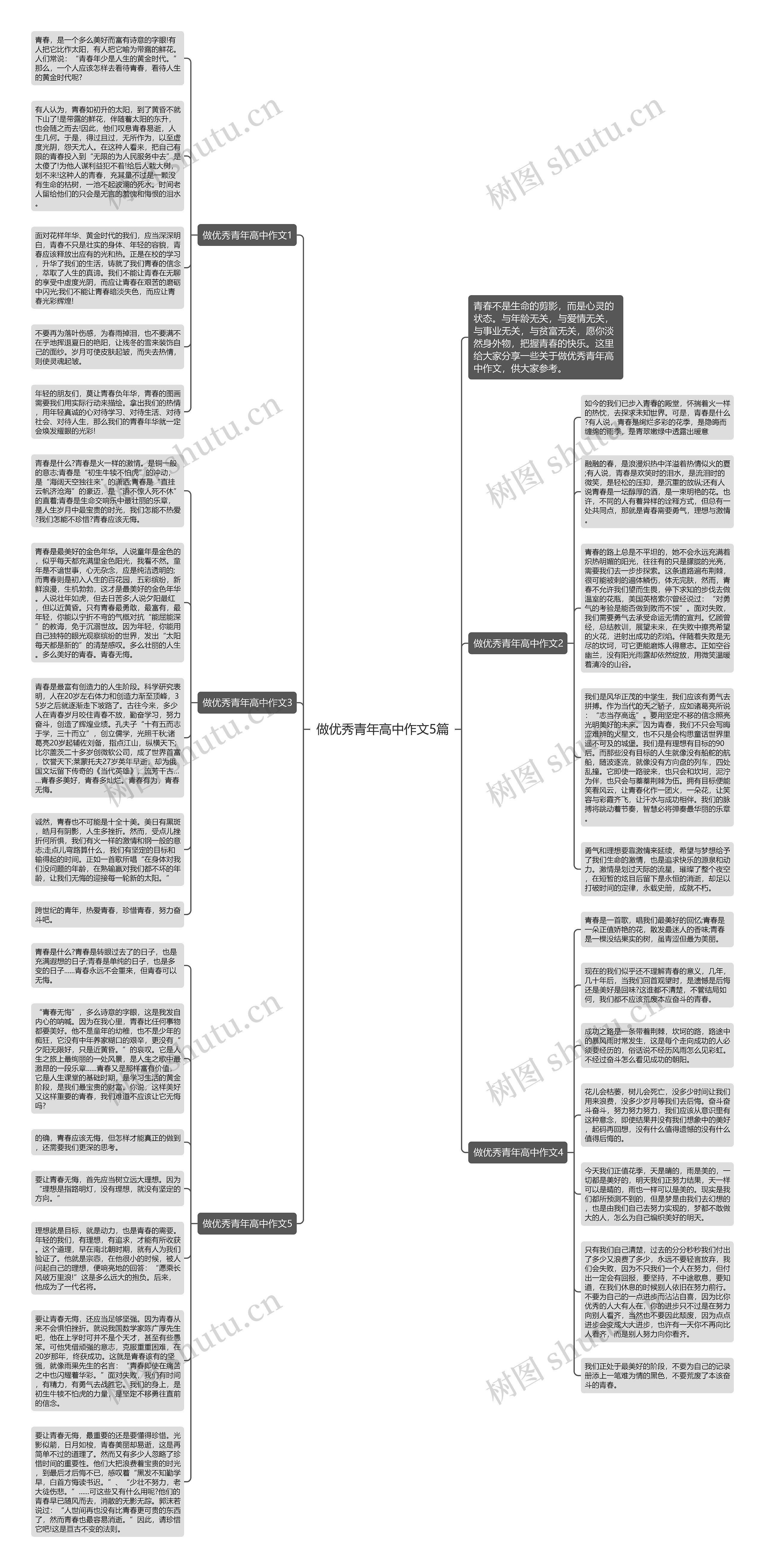 做优秀青年高中作文5篇思维导图