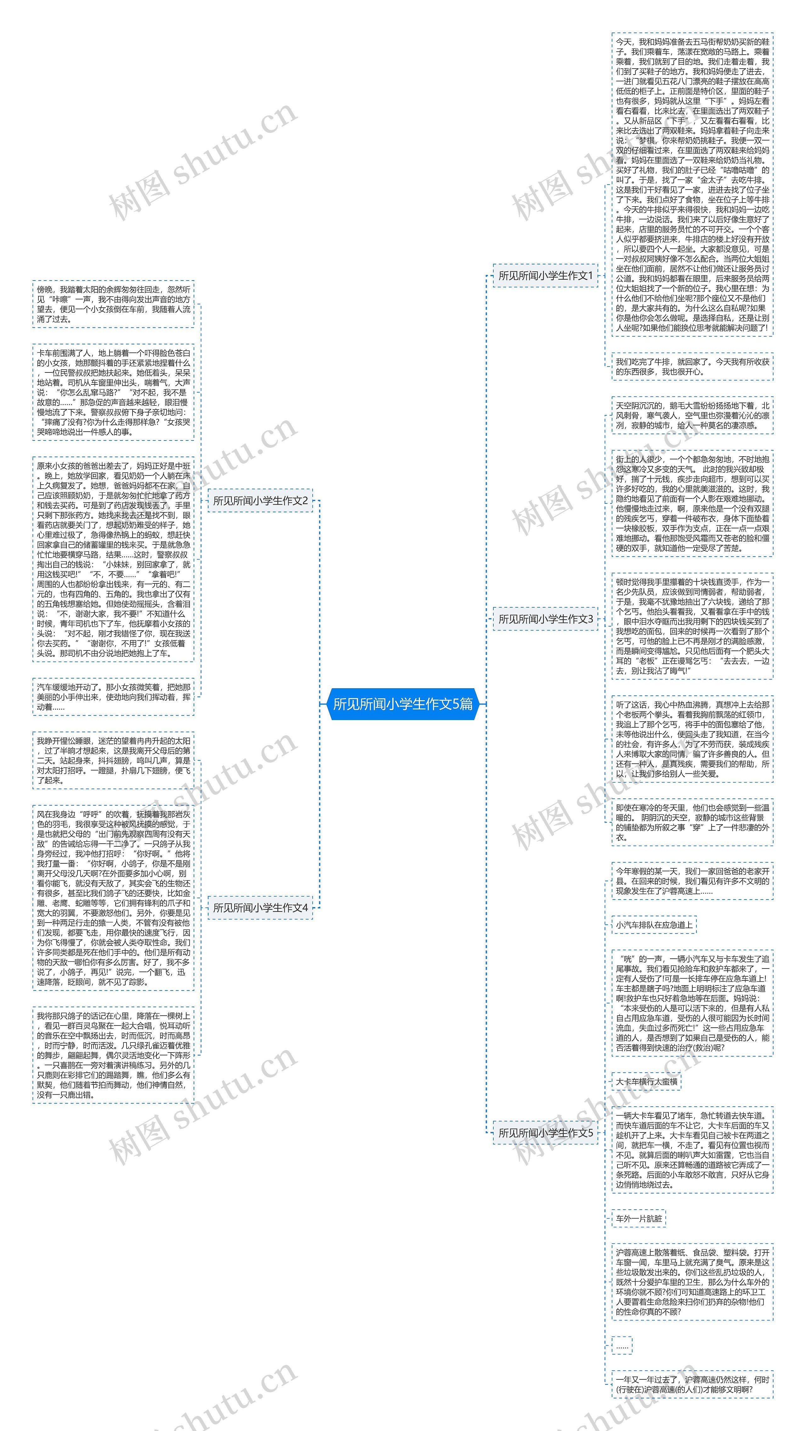 所见所闻小学生作文5篇思维导图
