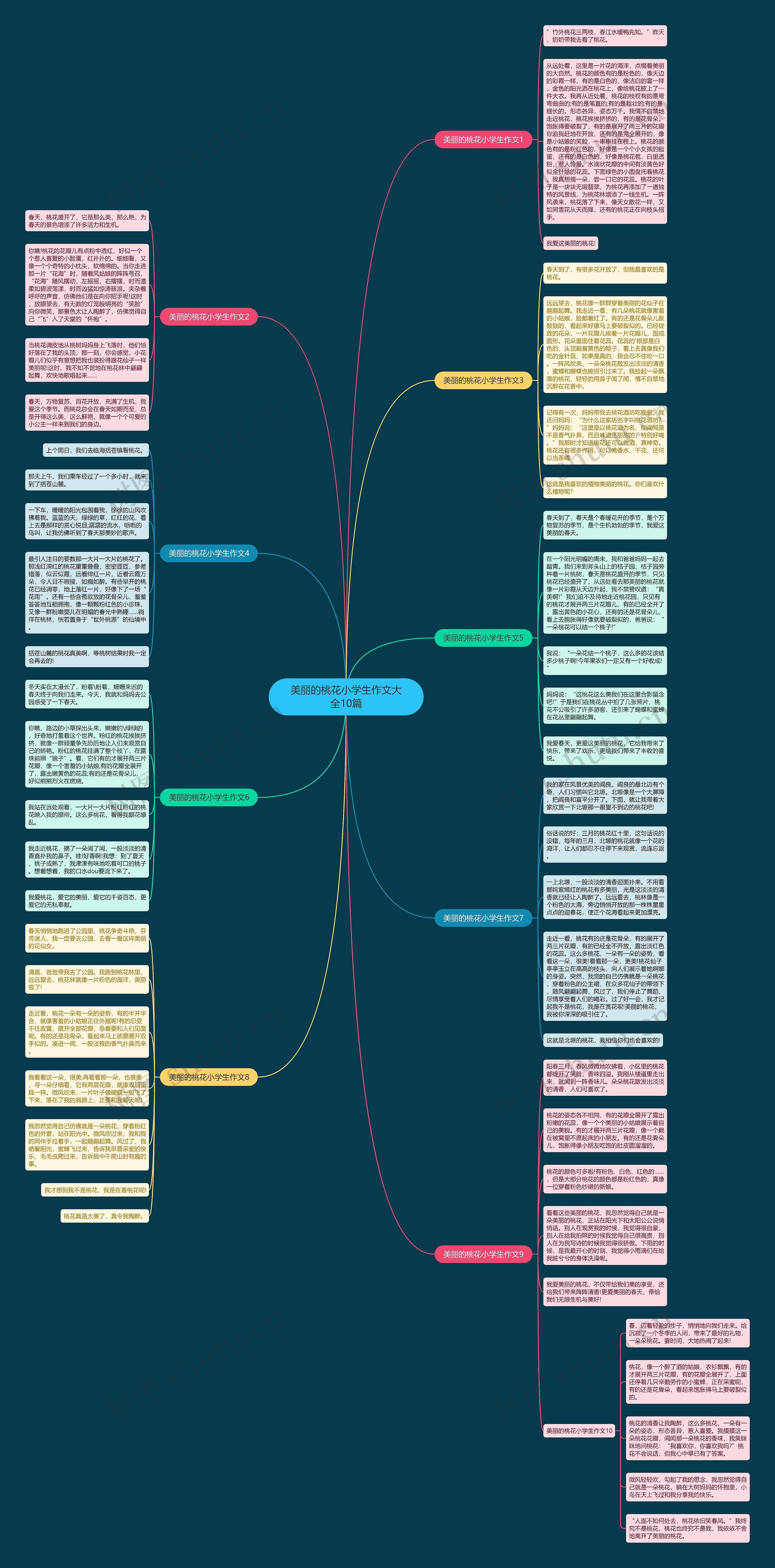 美丽的桃花小学生作文大全10篇思维导图