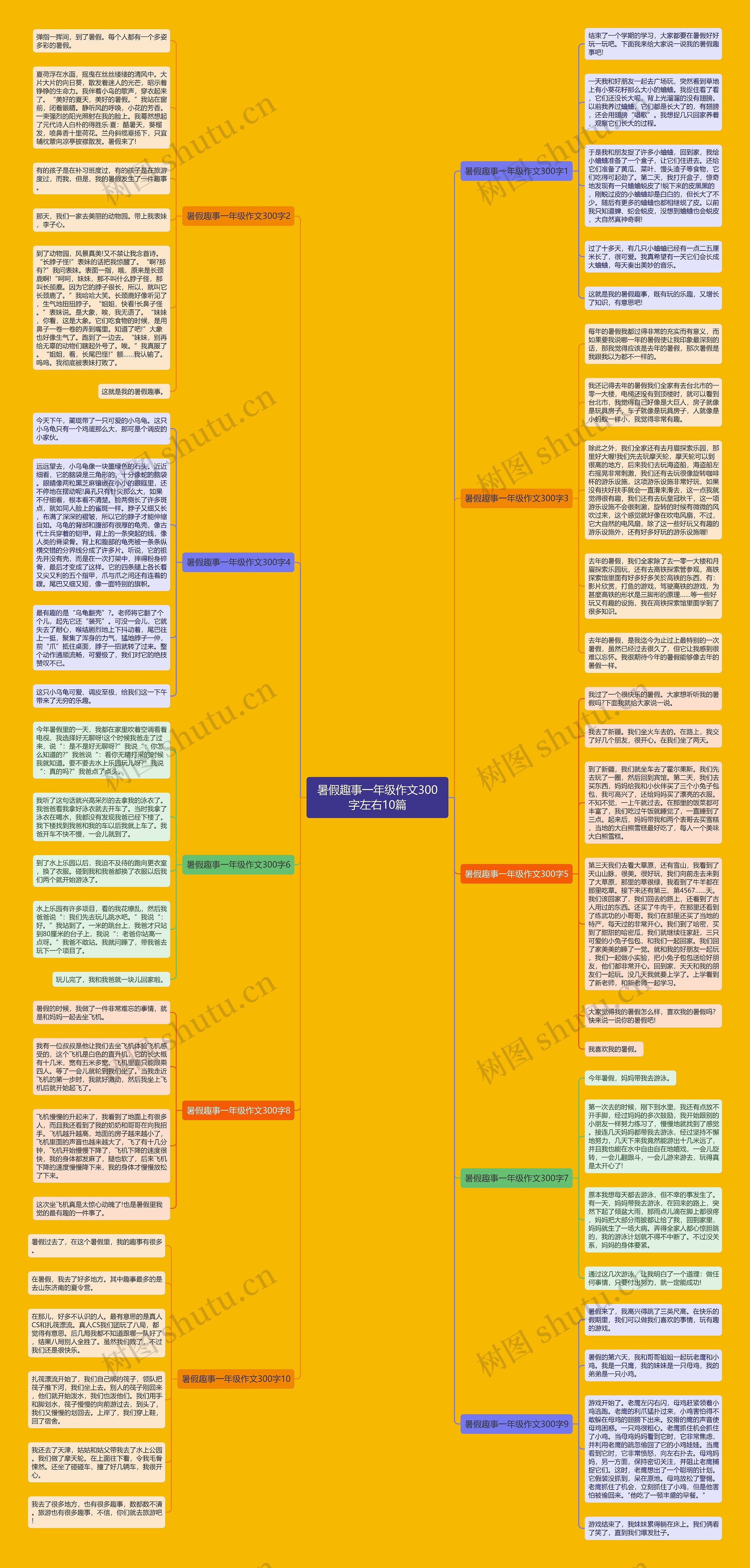 暑假趣事一年级作文300字左右10篇思维导图