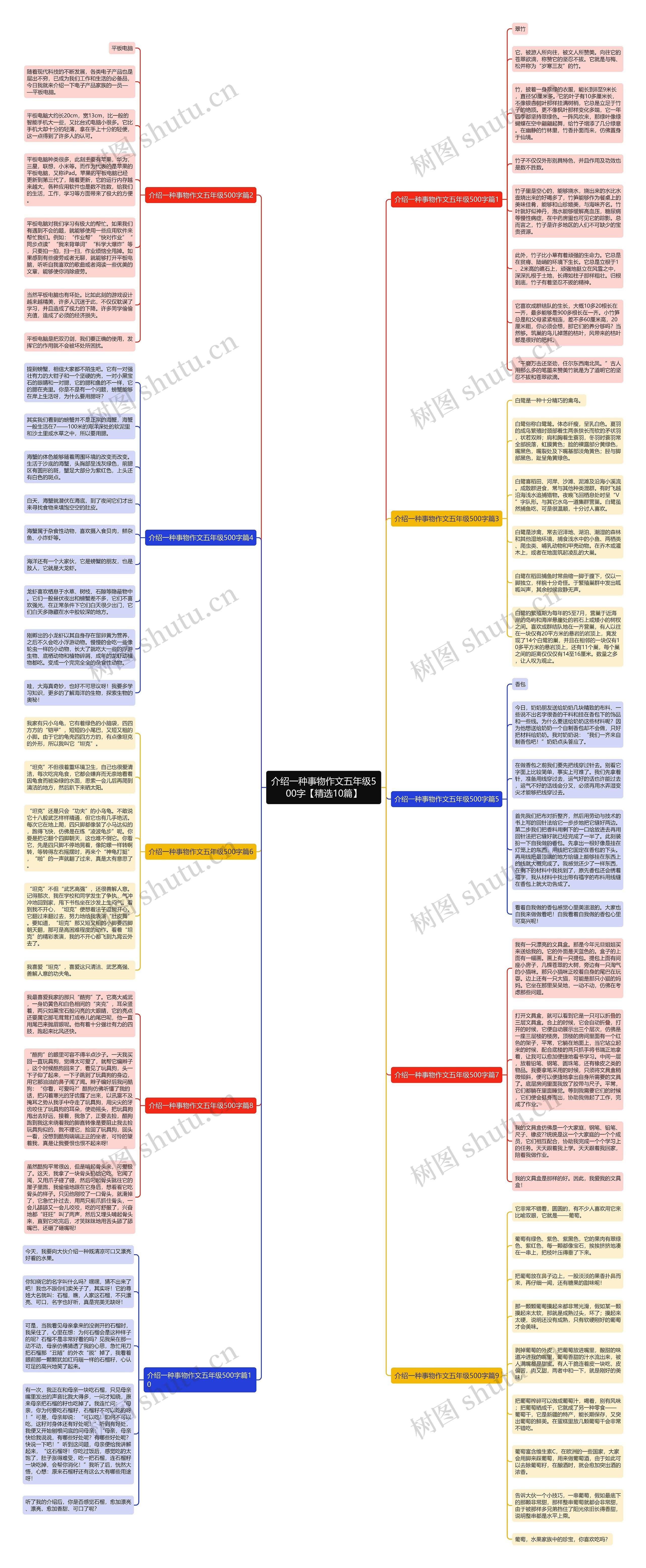 介绍一种事物作文五年级500字【精选10篇】思维导图