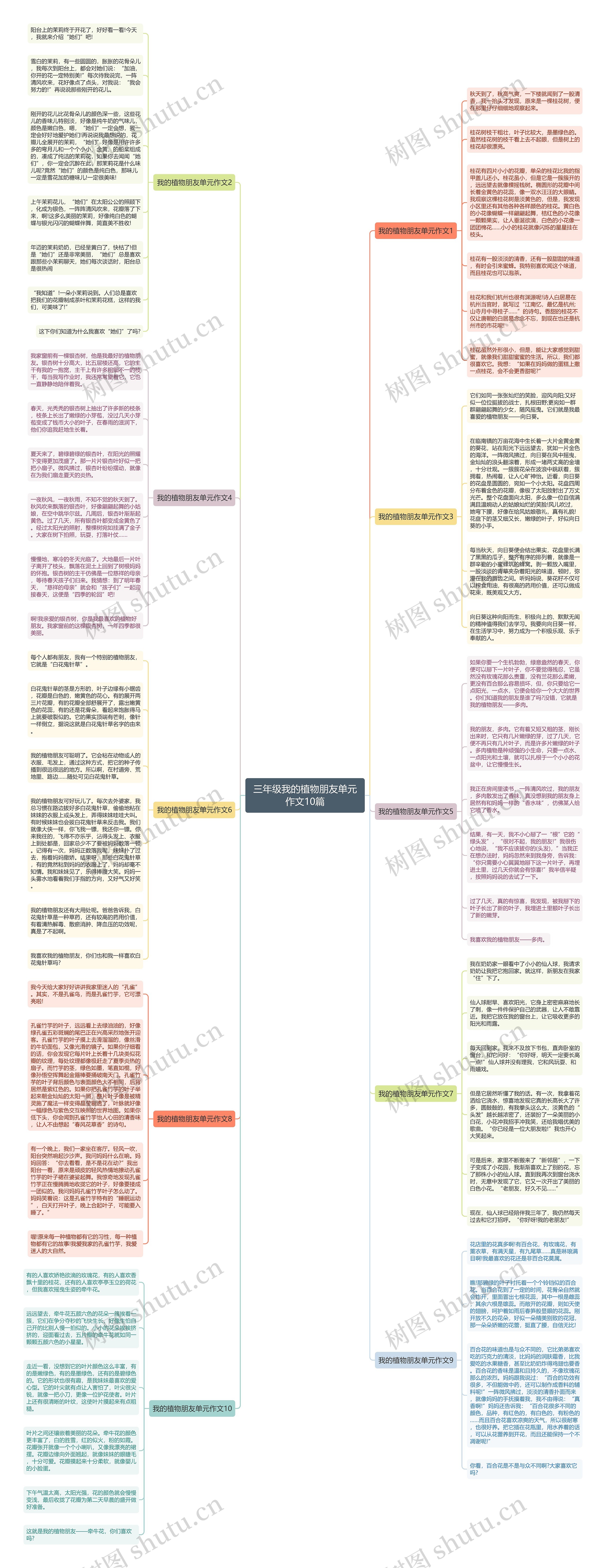 三年级我的植物朋友单元作文10篇思维导图