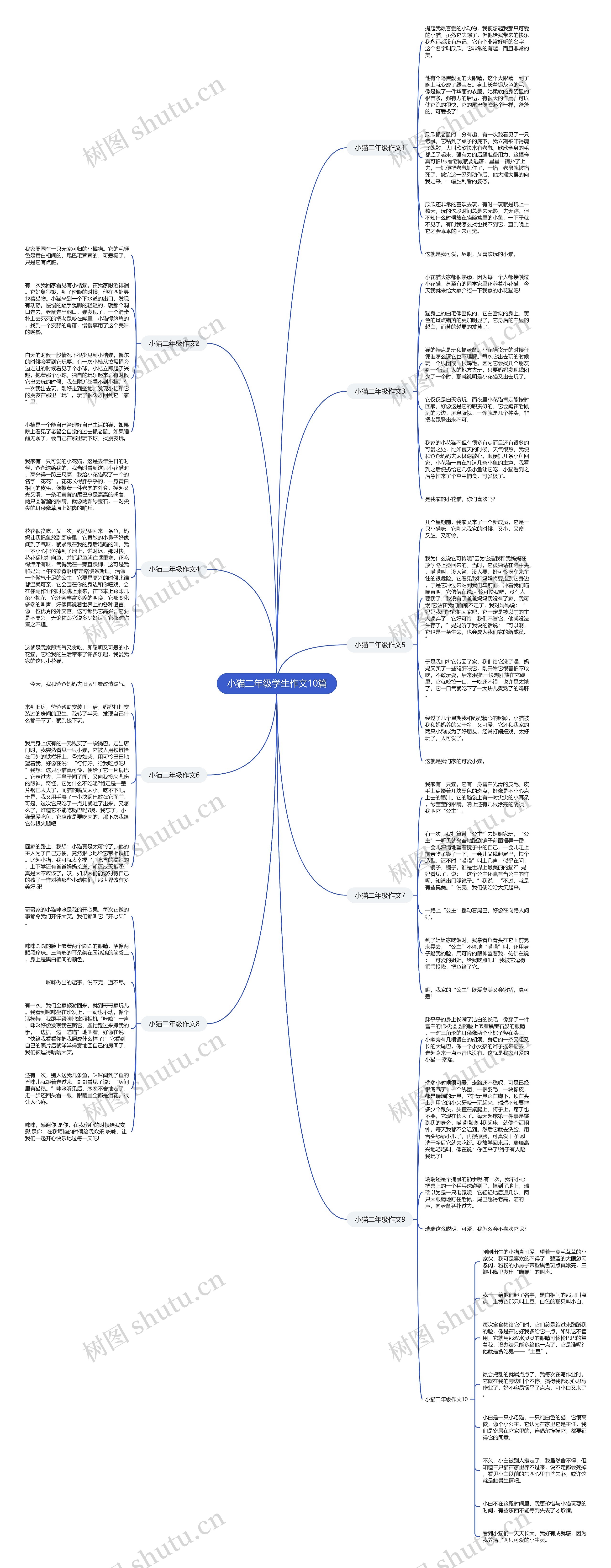 小猫二年级学生作文10篇思维导图