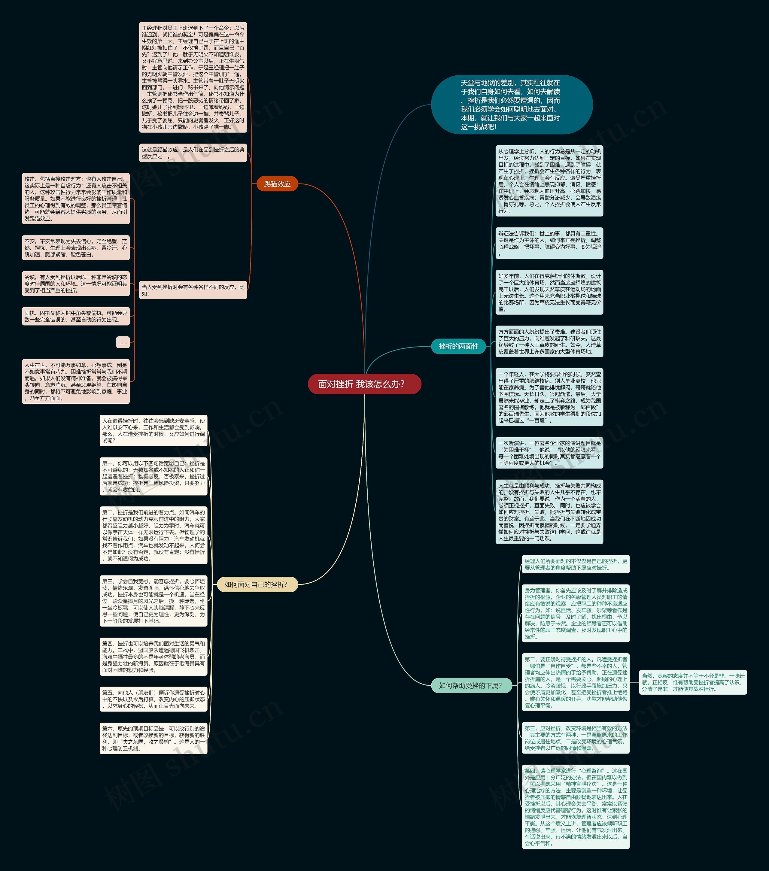 面对挫折 我该怎么办？ 思维导图