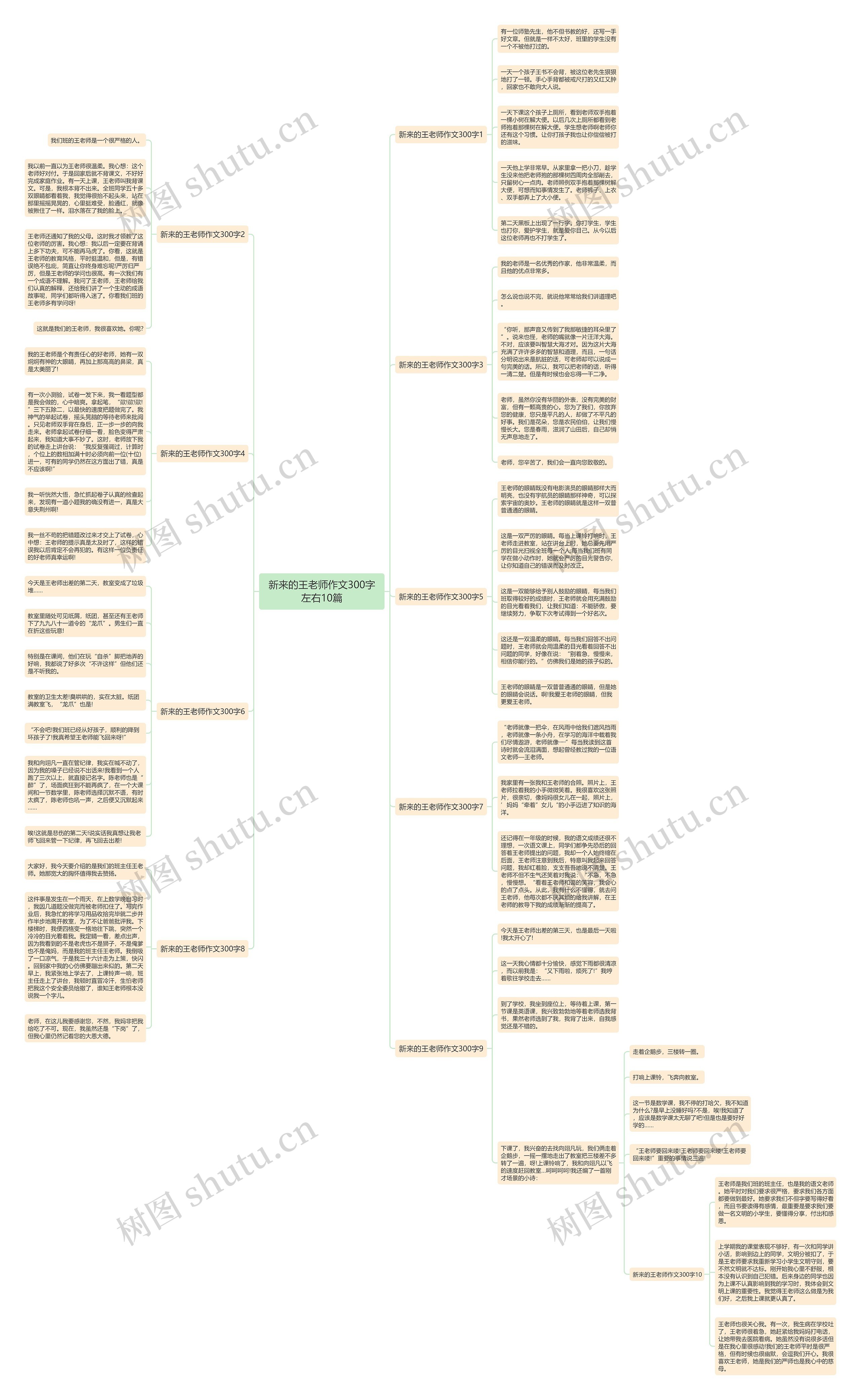 新来的王老师作文300字左右10篇