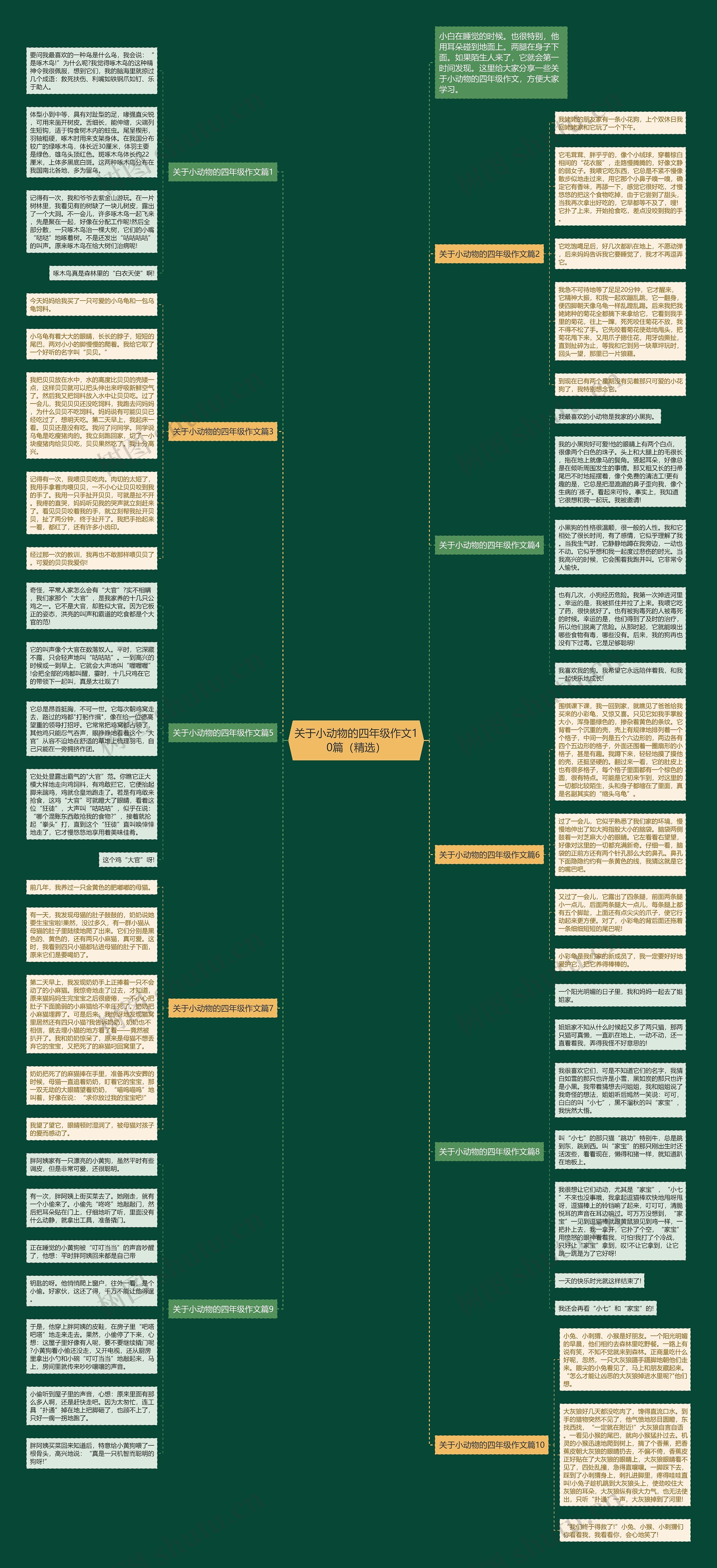 关于小动物的四年级作文10篇（精选）思维导图